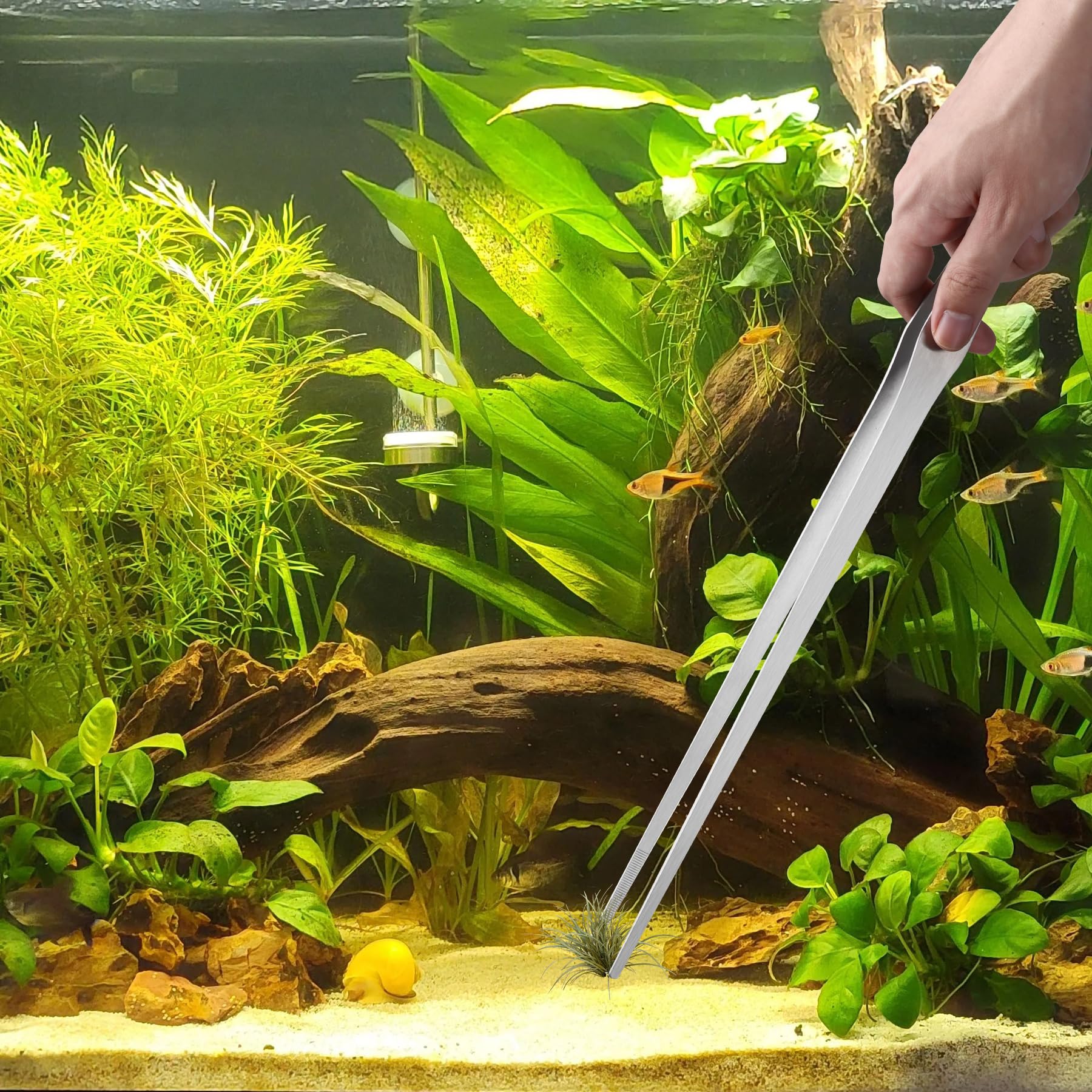 Ensemble deux pinces longues Unlumm, utile en cuisine et jardinage.
