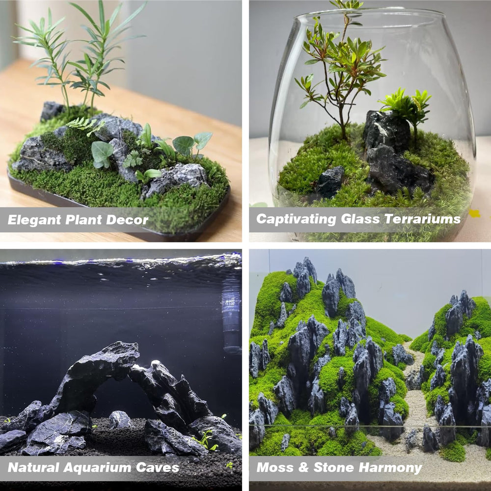 Pierres Seiryu pour paludarium — structure et texture réaliste.