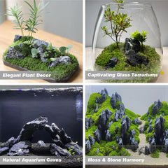 Pierres Seiryu pour paludarium — structure et texture réaliste.