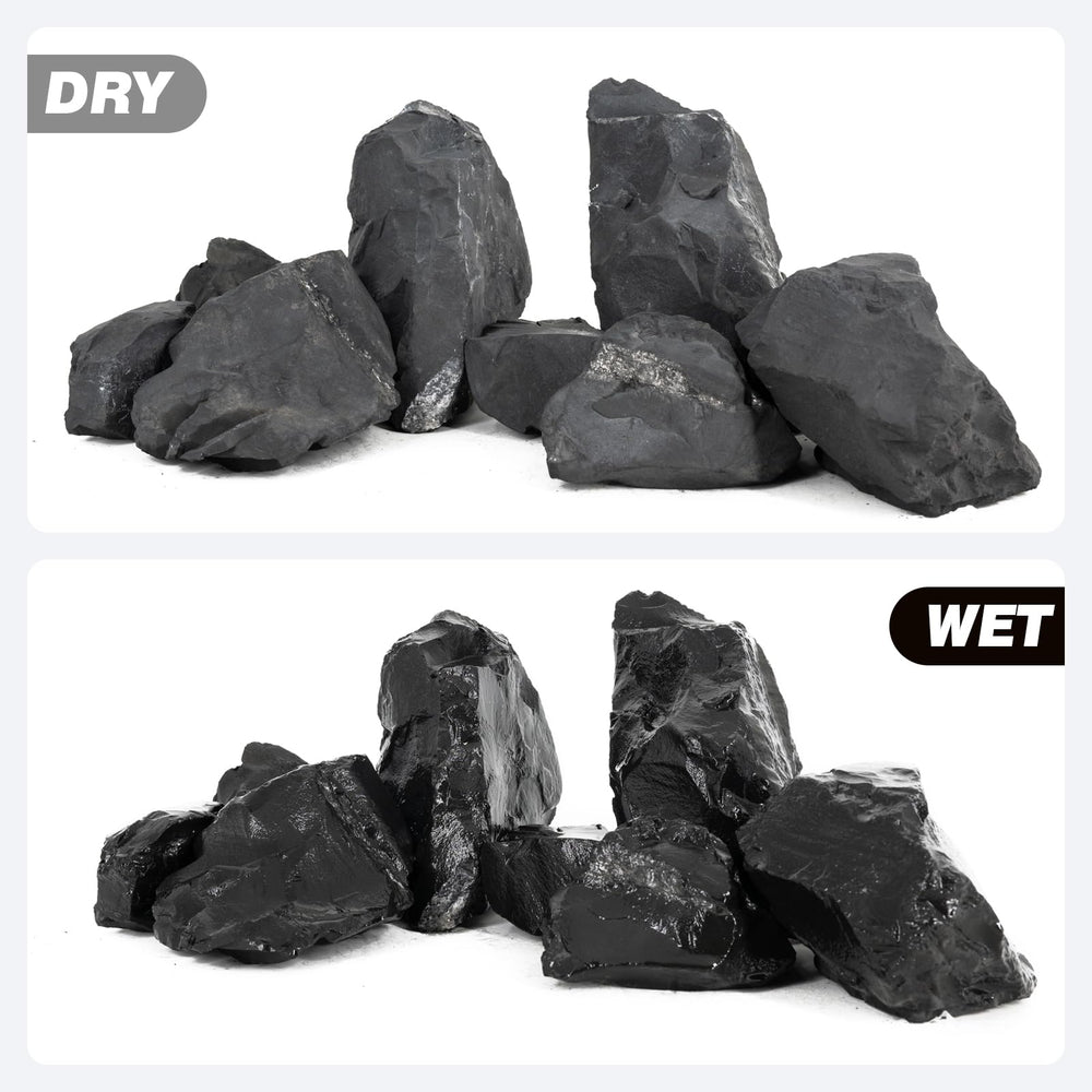 Zone de bain des tortues Unocho, terrarium sûr et pratique.
