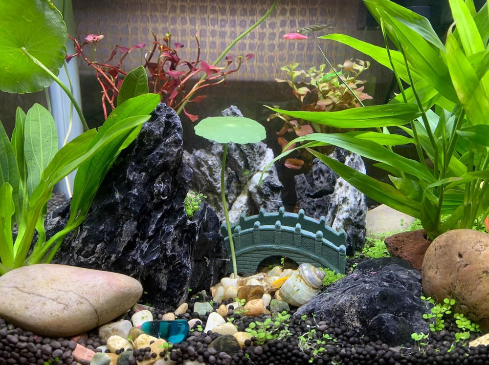 Unocho Seiryu pierre-aquarium-terrarium : pierre durable adaptée à terrariums et aquariums.