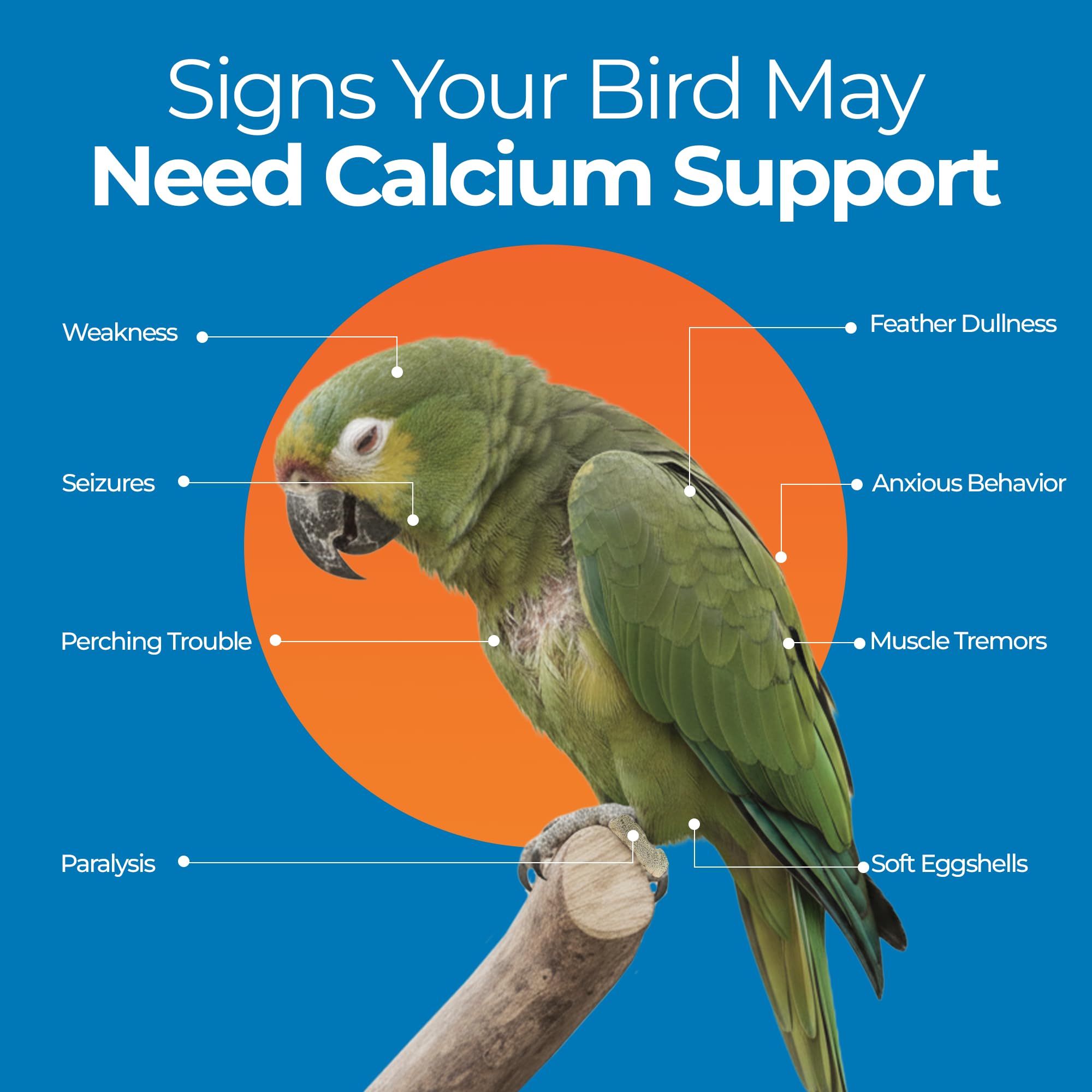 UnRuffledRx Bird Calcium Plus renforce les coquilles d'œufs pour des œufs solides.