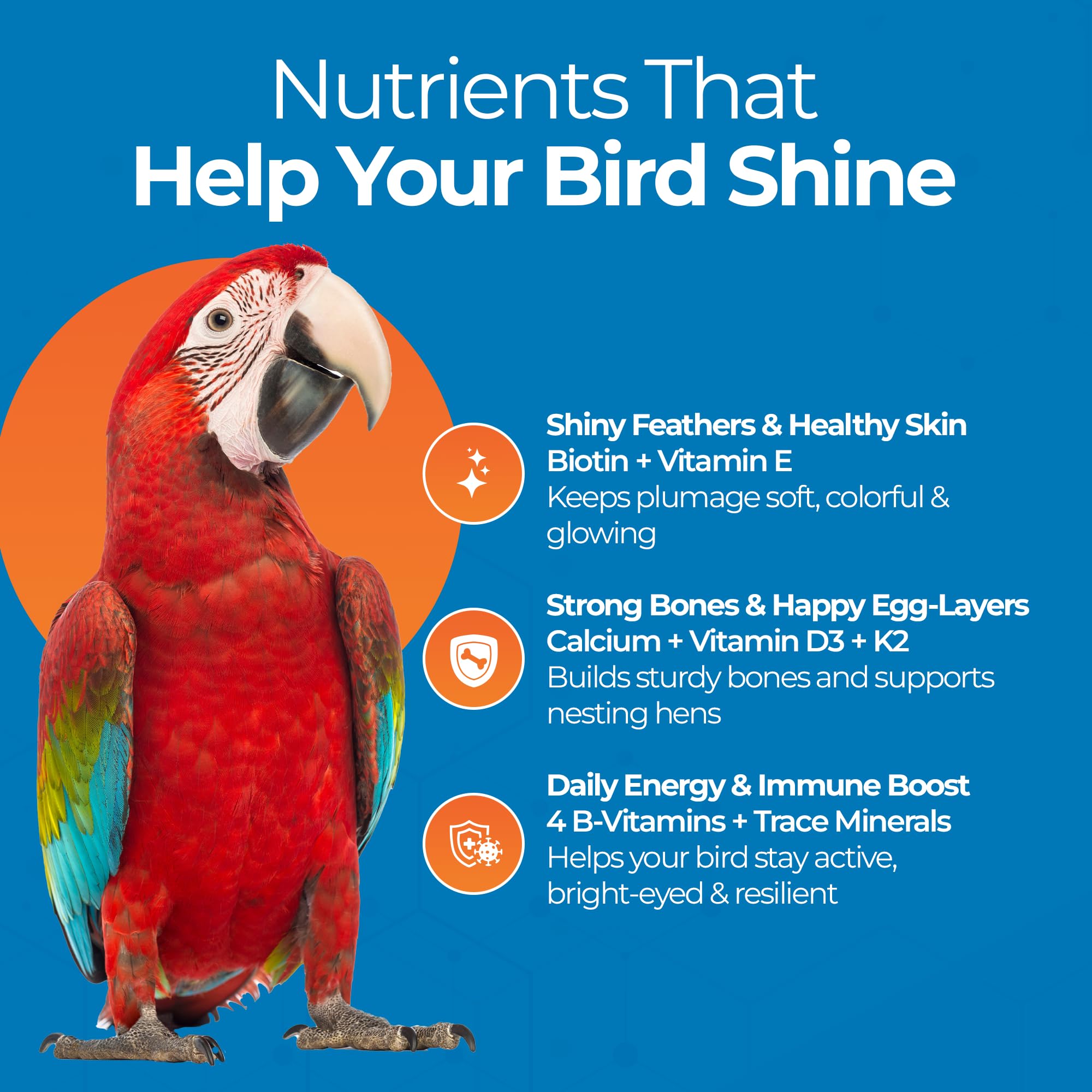 UnRuffledRx FeatherUp: vitamine K aide au métabolisme du calcium et à la densité osseuse.