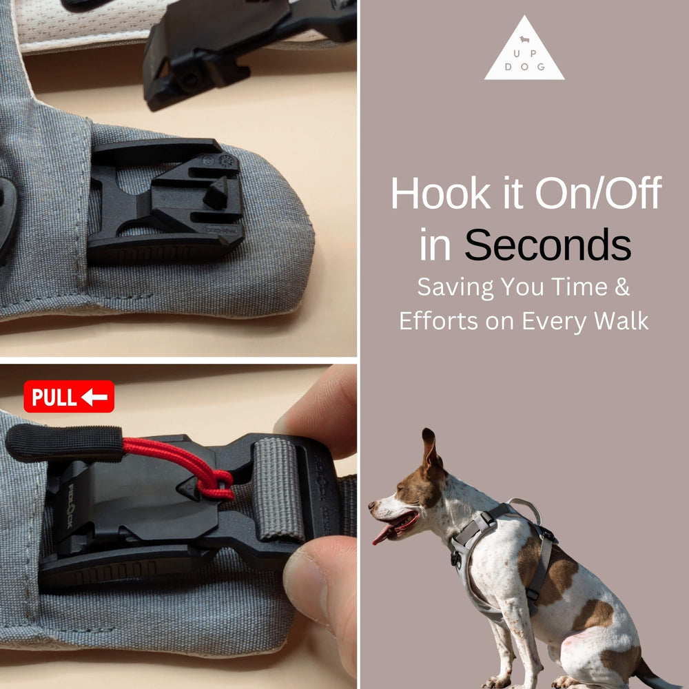 Harnais Up Dog Toys avec système antipull pour des promenades plus calmes.