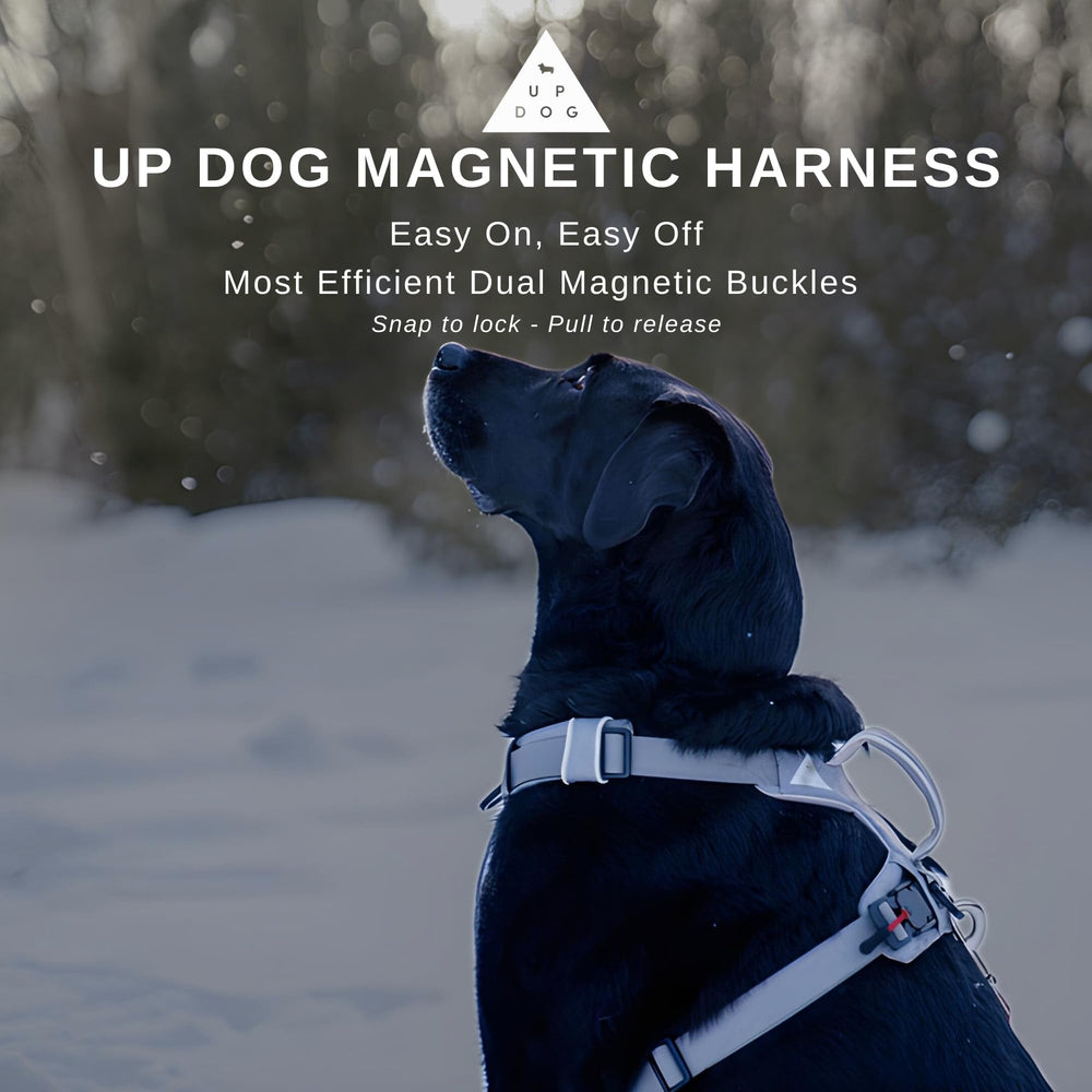 Harnais Up Dog Toys: doublure mesh respirant évitant frottements.