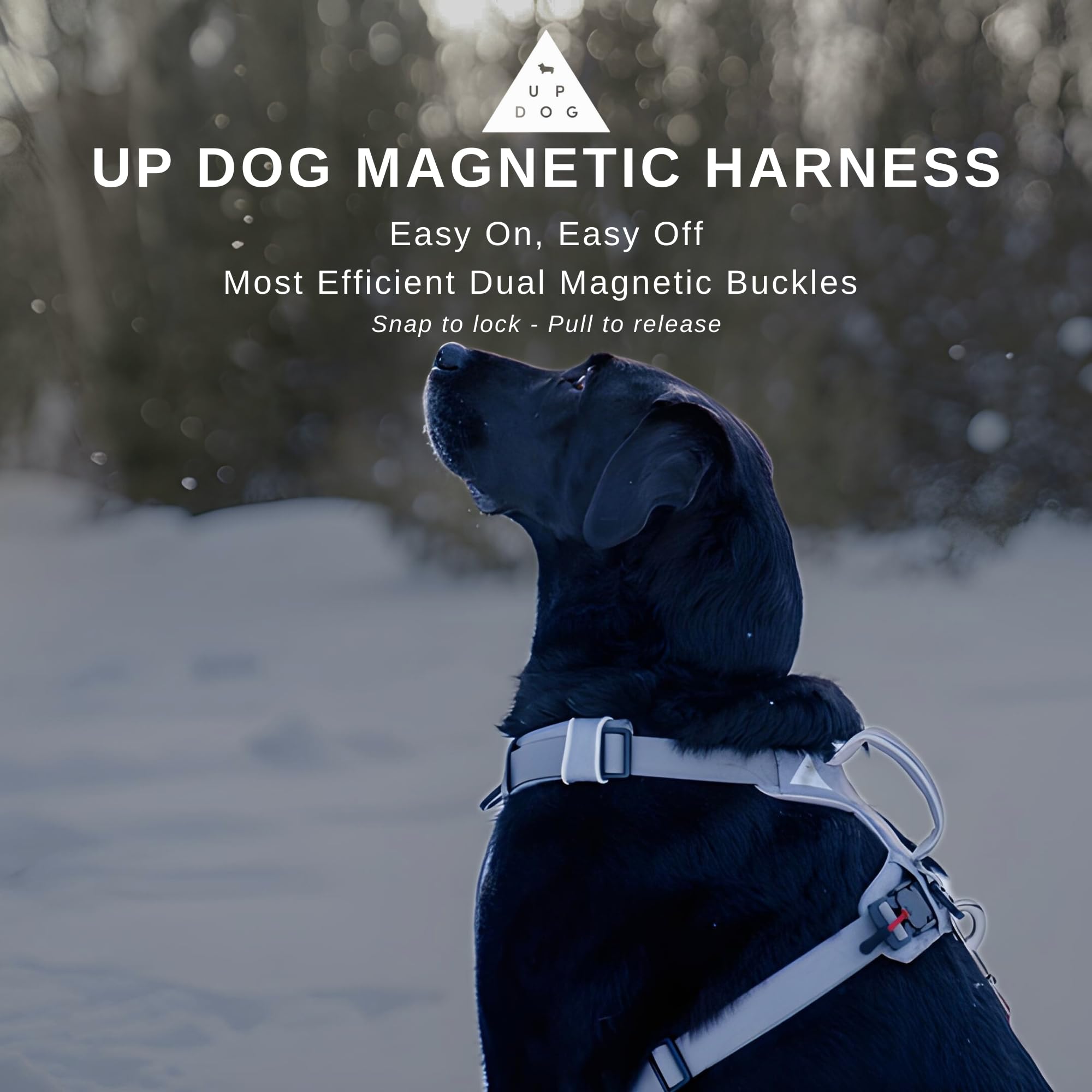 Harnais Up Dog Toys doublure respirante évite les frottements.