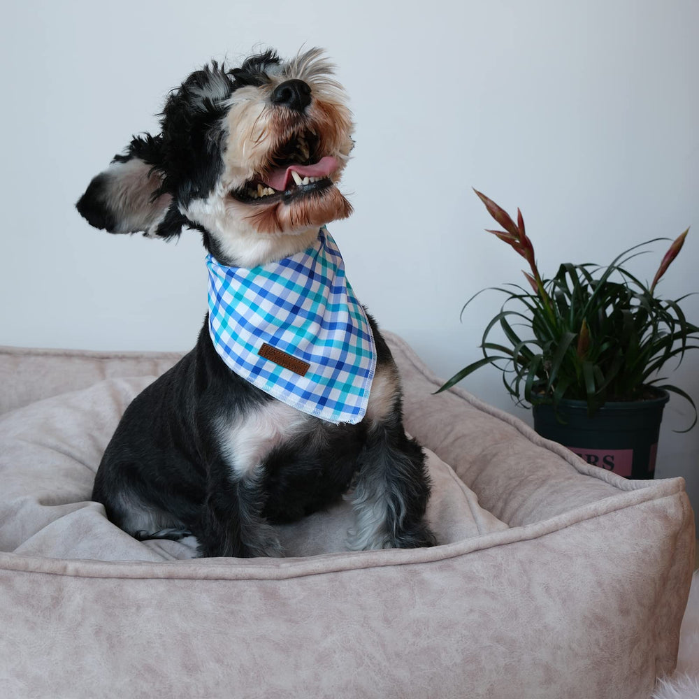 UP URARA PUP bandana estival bleu blanc, parfait pour sorties et photos.