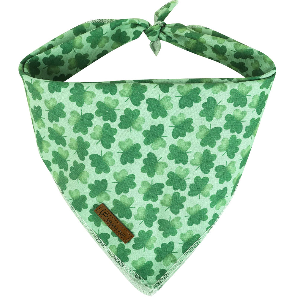 Bandana Saint Patrick UP URARA PUP vert pour chien facile a attacher