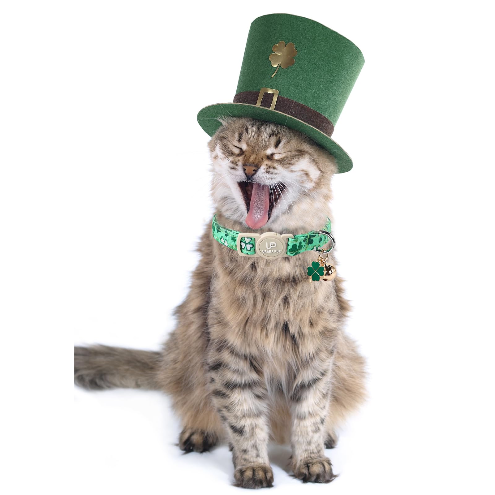 Motif trèfle sur collier UP URARA PUP Saint-Patrick vert – style festif
