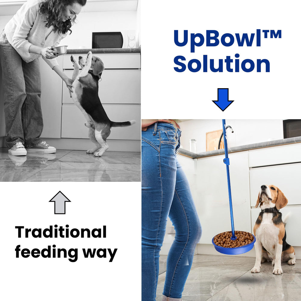 UpBowl poteau ajustable jusqu a 91 cm pour plus de confort.