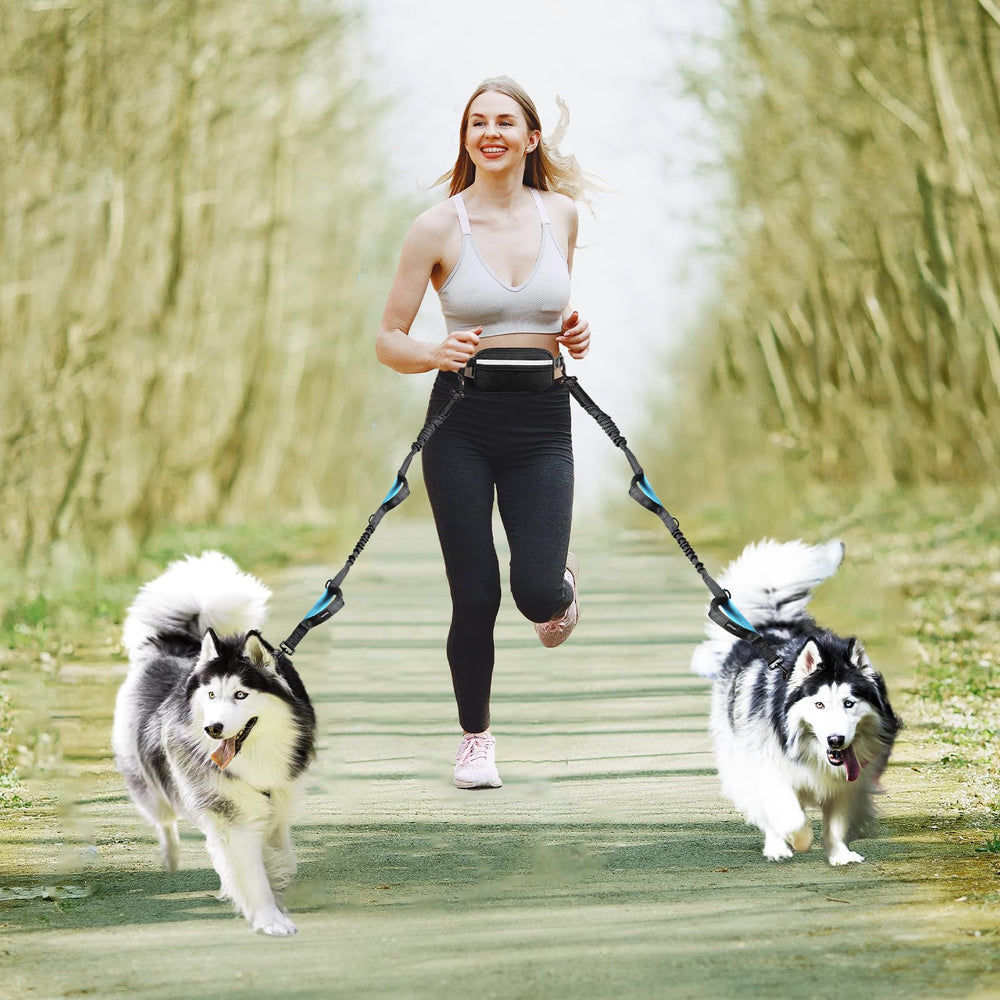 Conçu pour chiens moyens et grands avec ajustement flexible.