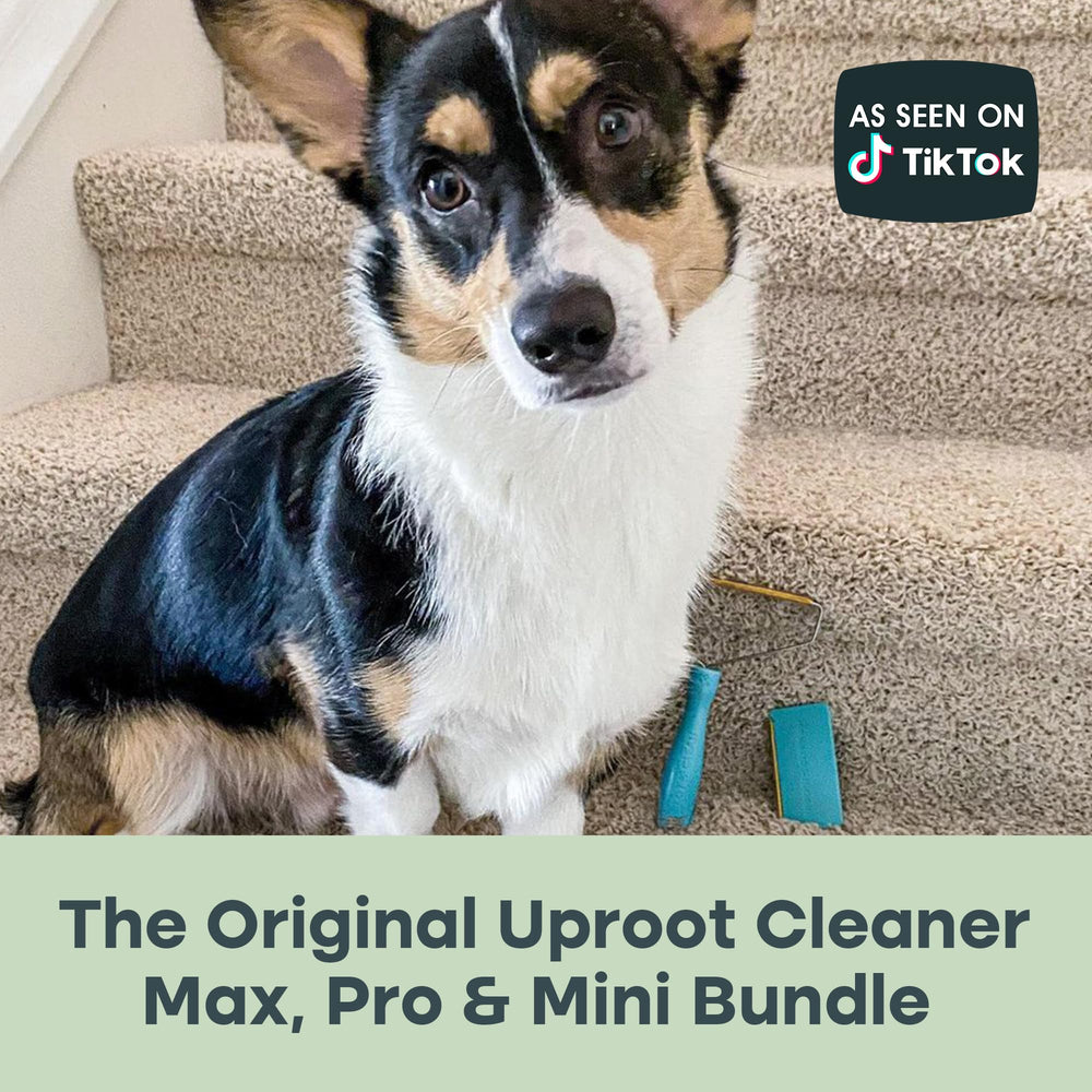 Uproot Clean Kit poil maison et véhicule, pratique pour propriétaires d’animaux.