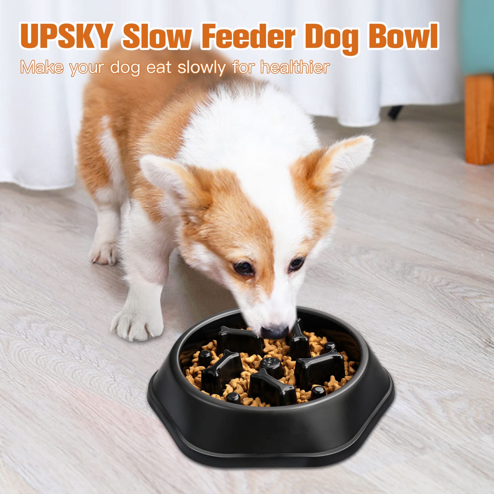 Upsky capacité 1-2 tasses, adaptée pour petits et moyens chiens.