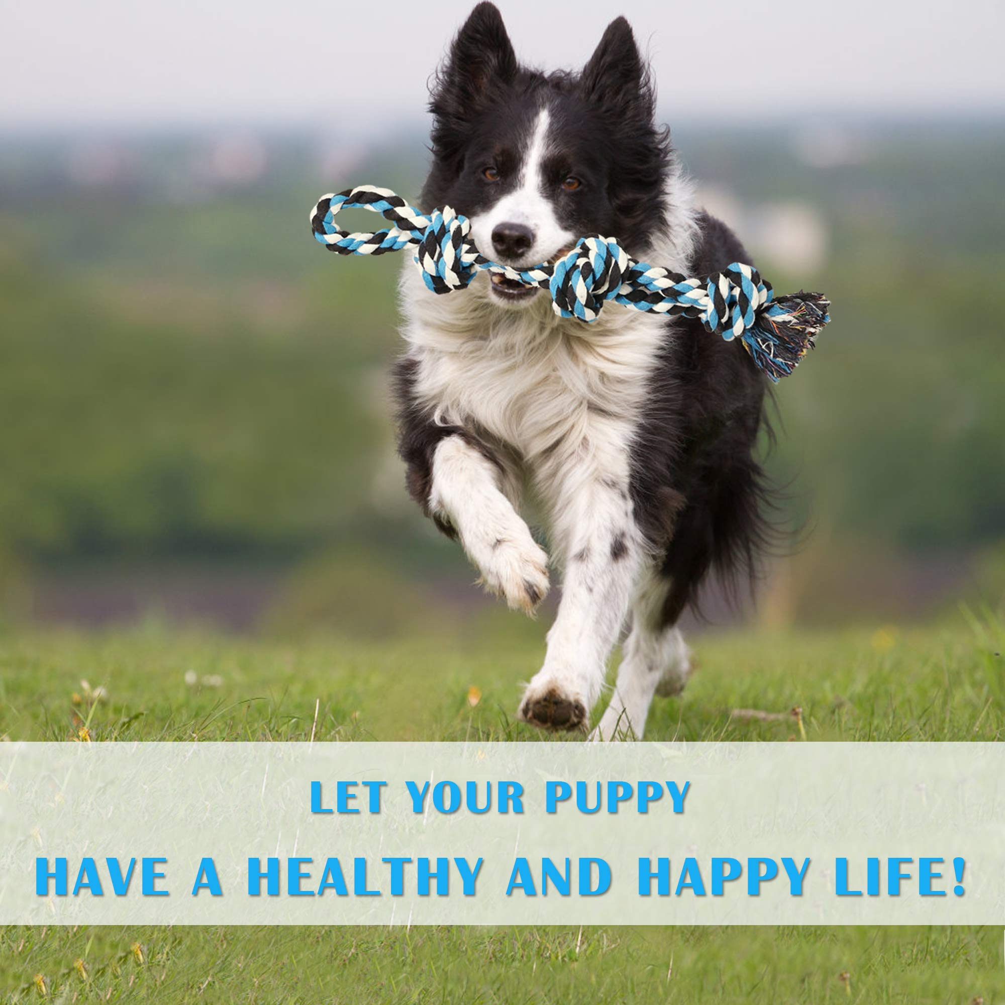 Upsky jouet corde grands chiens — confort et divertissement durable.