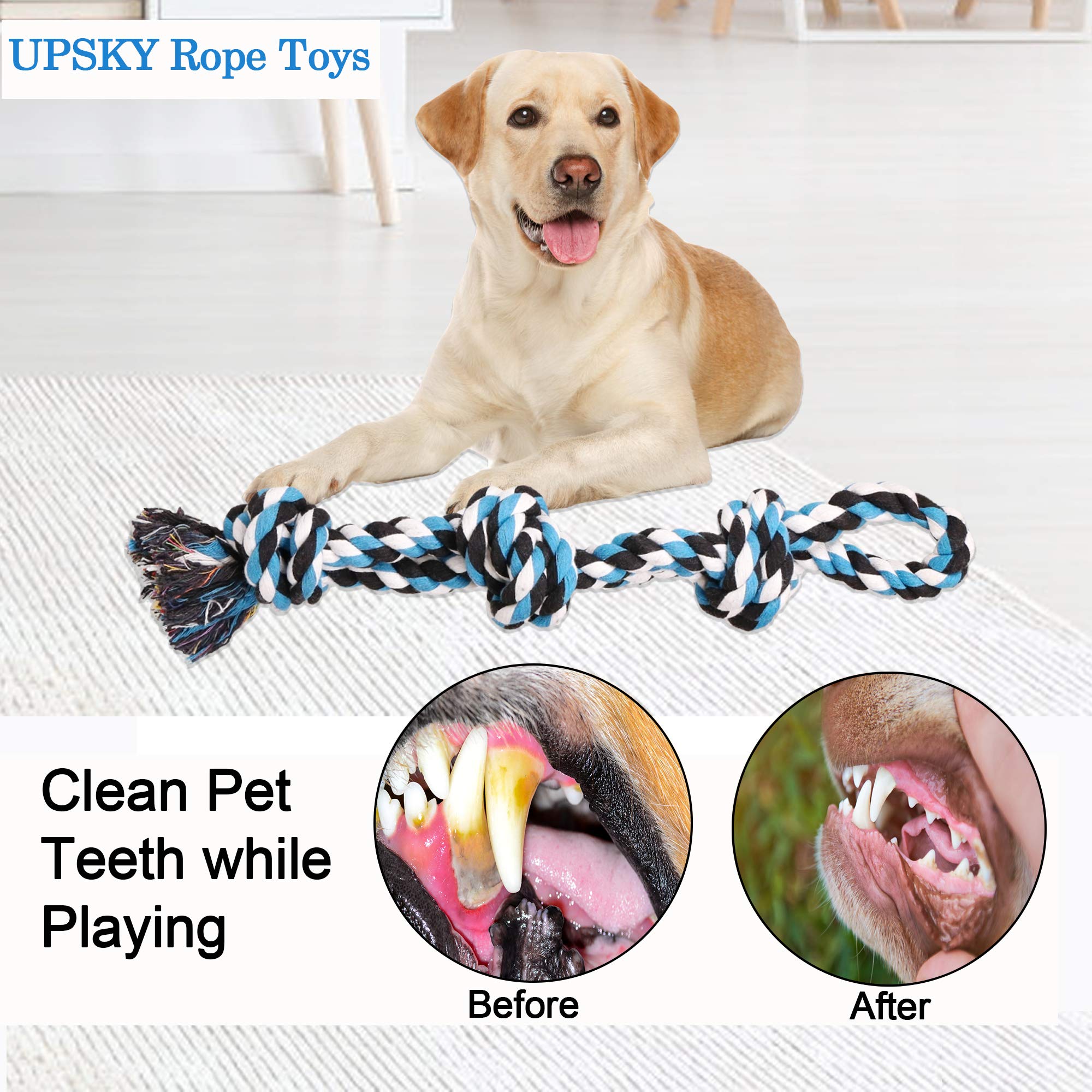 Upsky ensemble double jouets corde — variation des sessions et lutte contre l ennui.