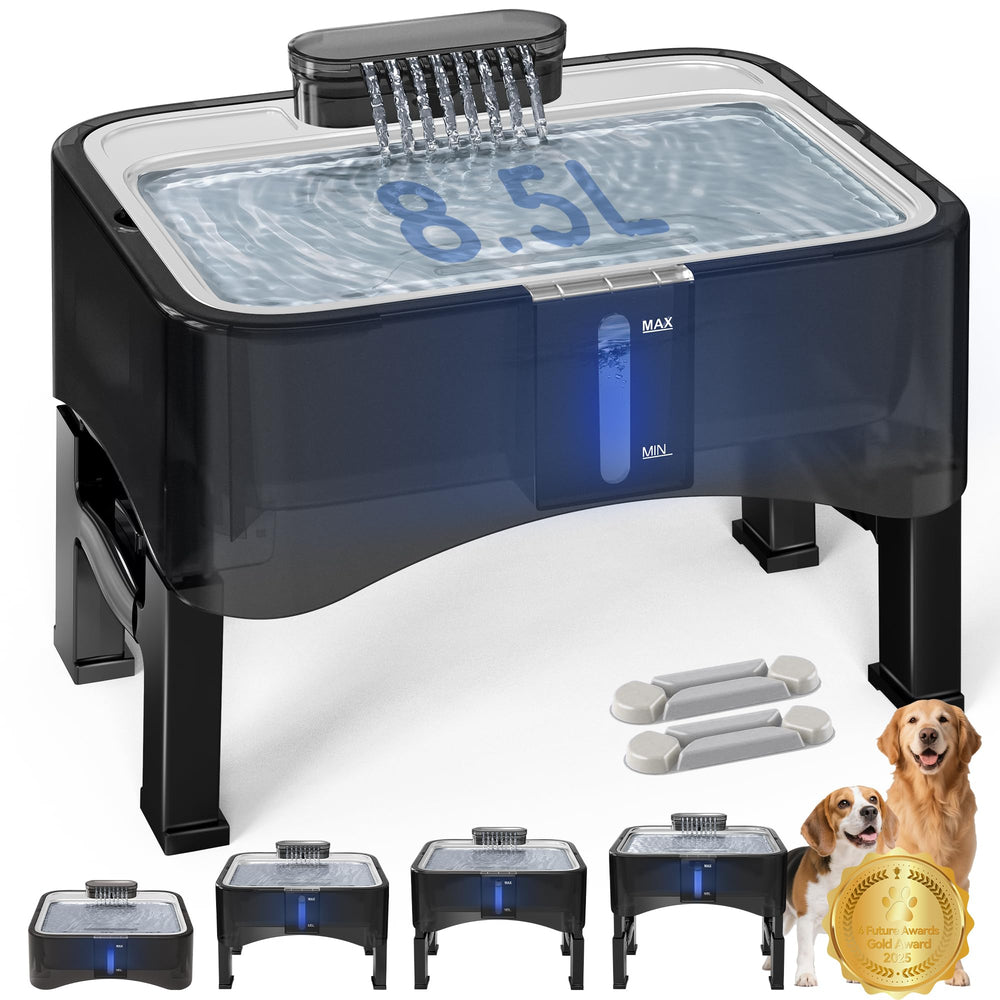 Fontaine UPSKY élevée pour chiens de toutes tailles avec posture de boisson confortable.