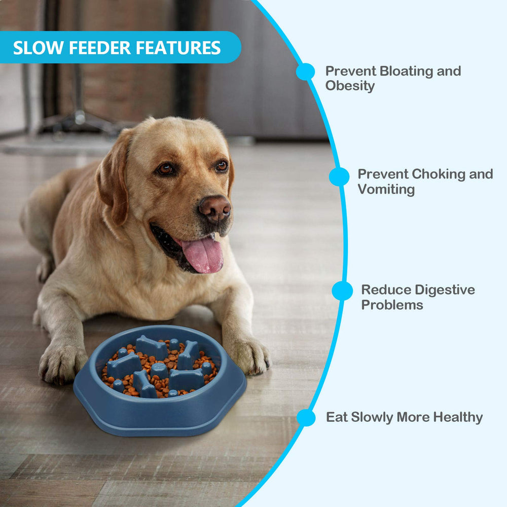 Upsky bol lentisseur usage quotidien pour chien, réduit le gaspillage et augmente le plaisir.