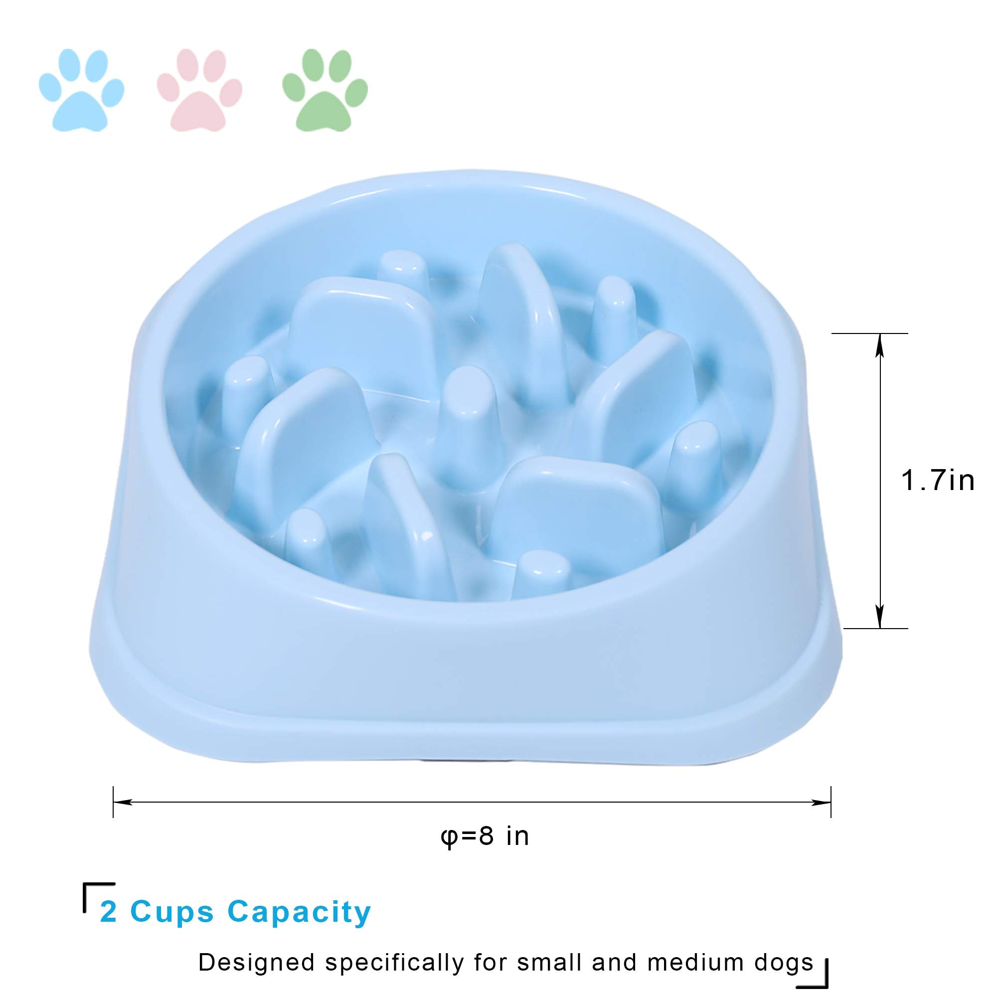 UPSKY bol lent bleu pour petit chien, design attrayant et pratique.