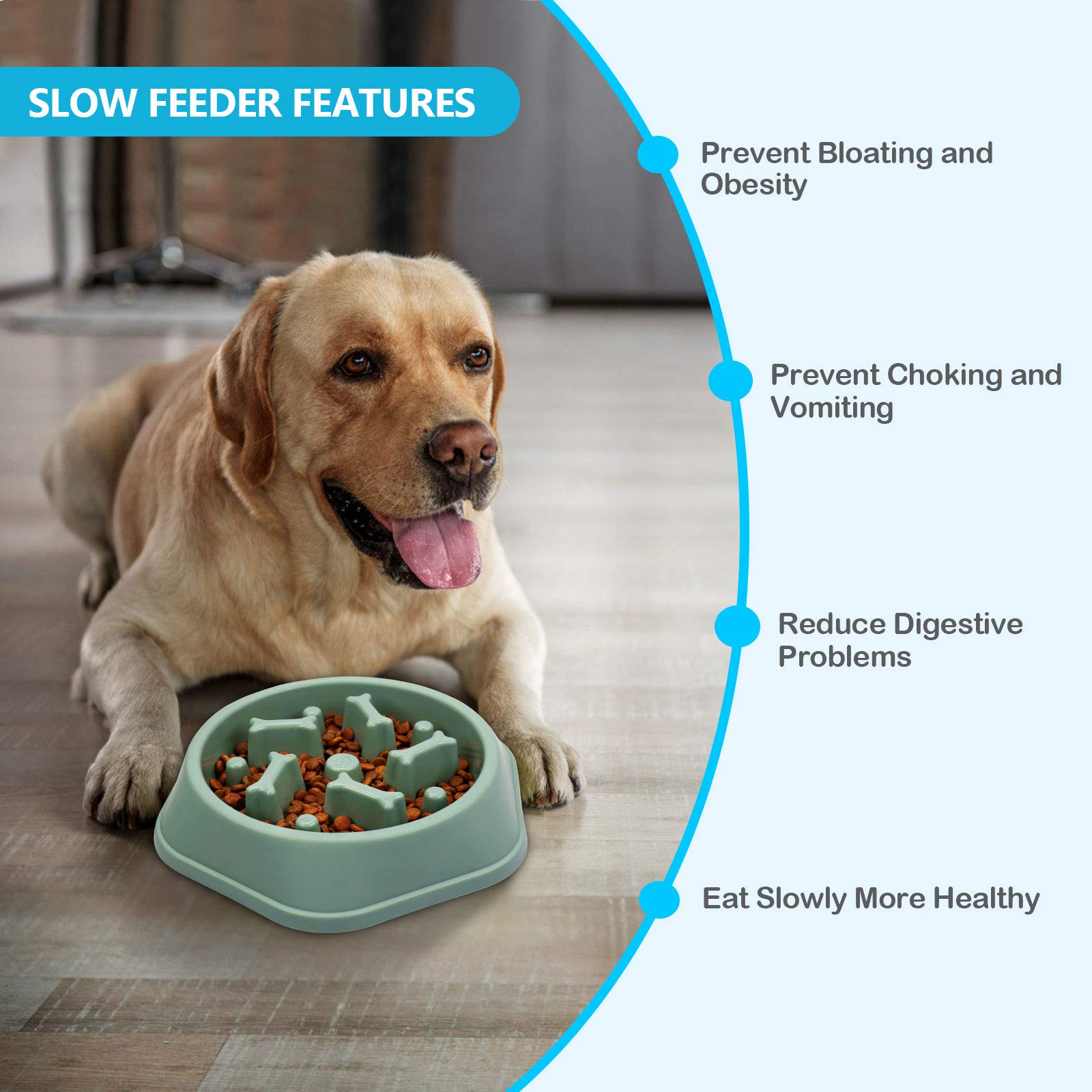 UPSKY bol-puzzle-interactif-chien favorise l’engagement et une expérience de repas plus ludique.