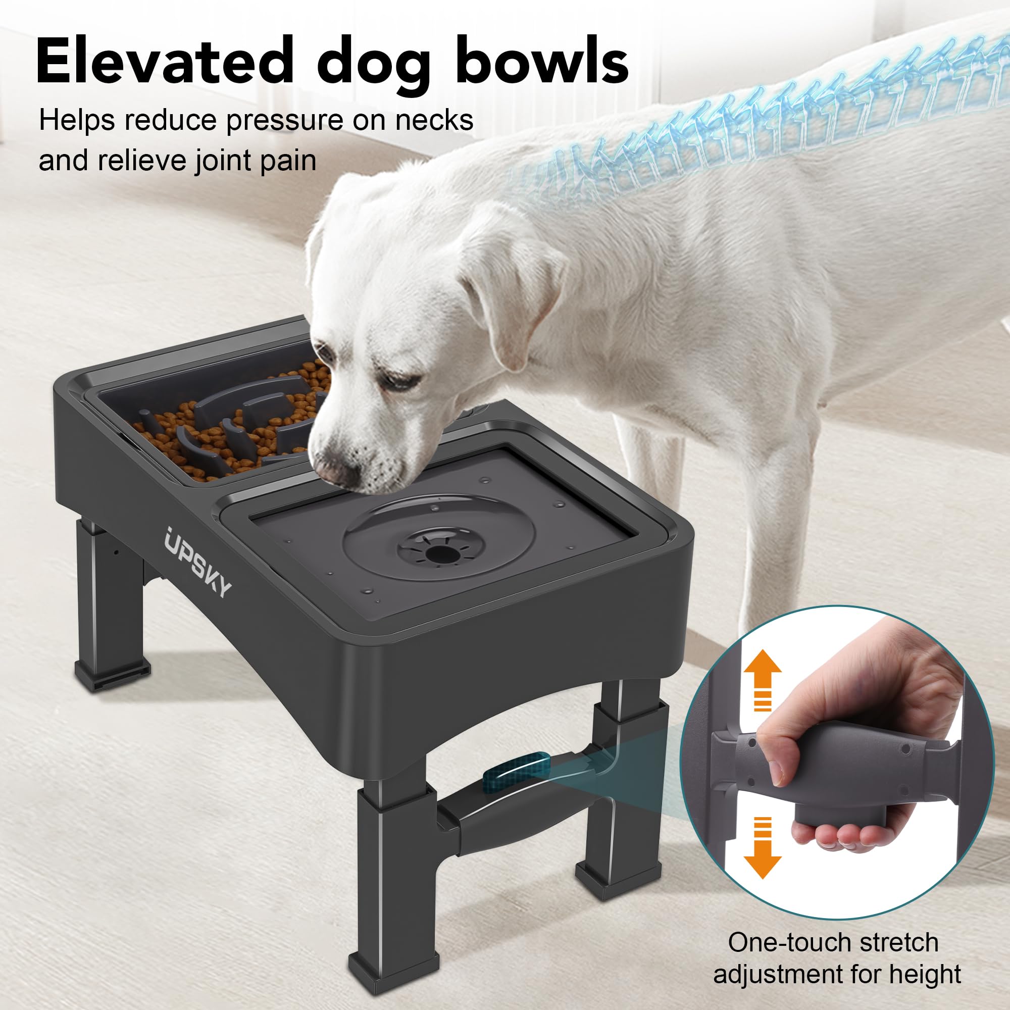 Upsky compatible petits et moyens chiens sans bol inox inclus