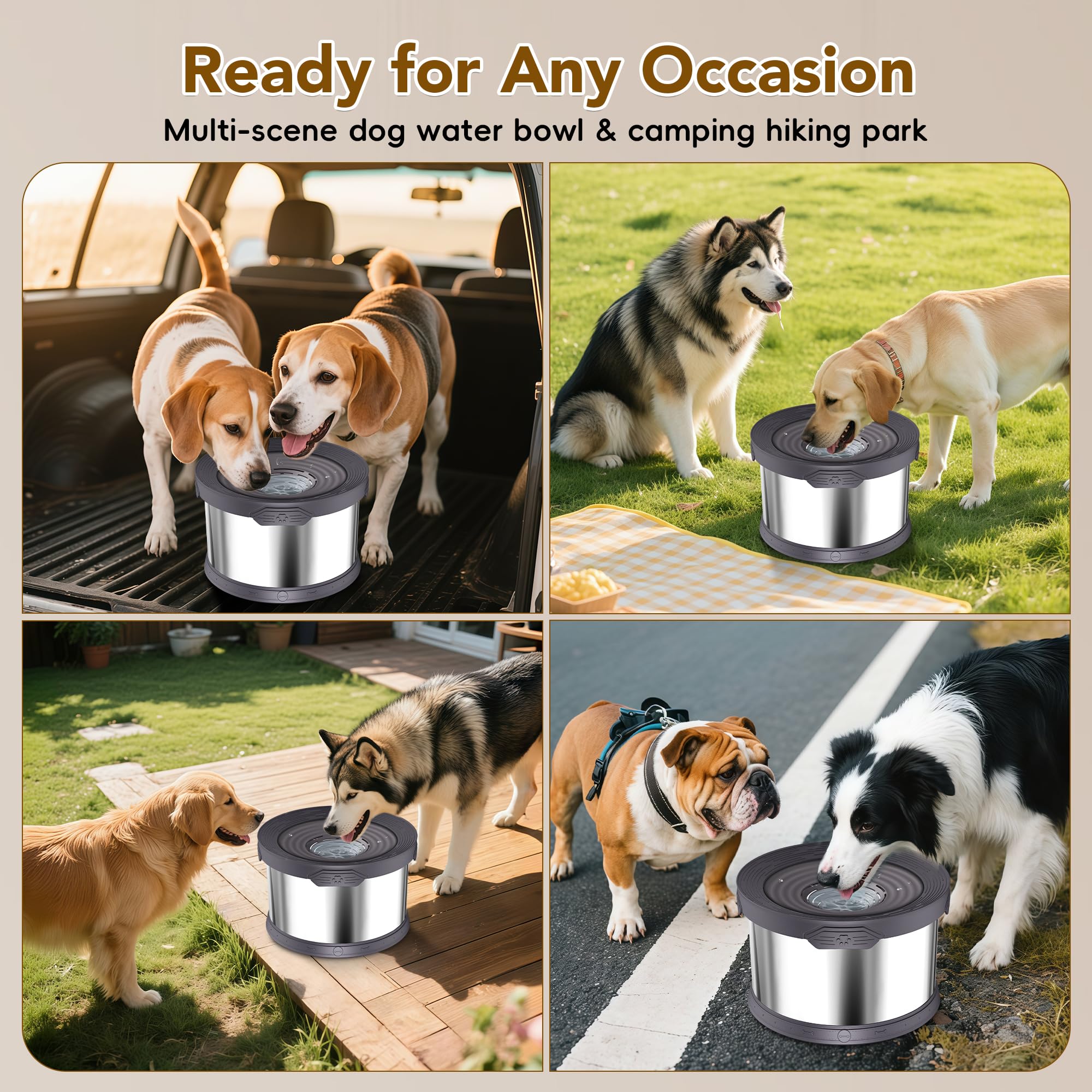 Upsky filtre eau chien eau fraiche inox eau plus propre