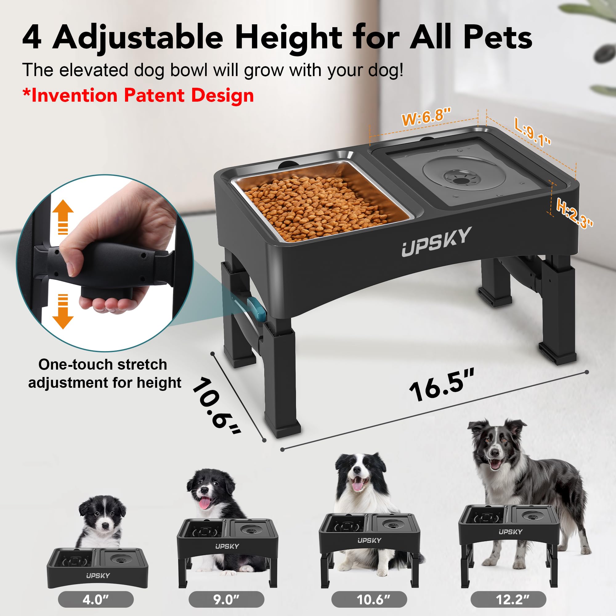 Hauteurs réglables UPSKY pour chiens de toutes tailles et étapes de croissance.