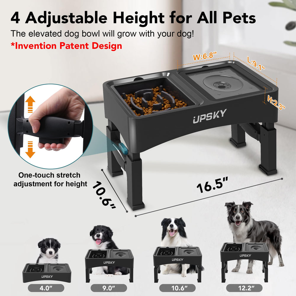 Upsky réglage hauteur quatre niveaux pour chien