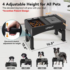 Upsky réglage hauteur quatre niveaux pour chien