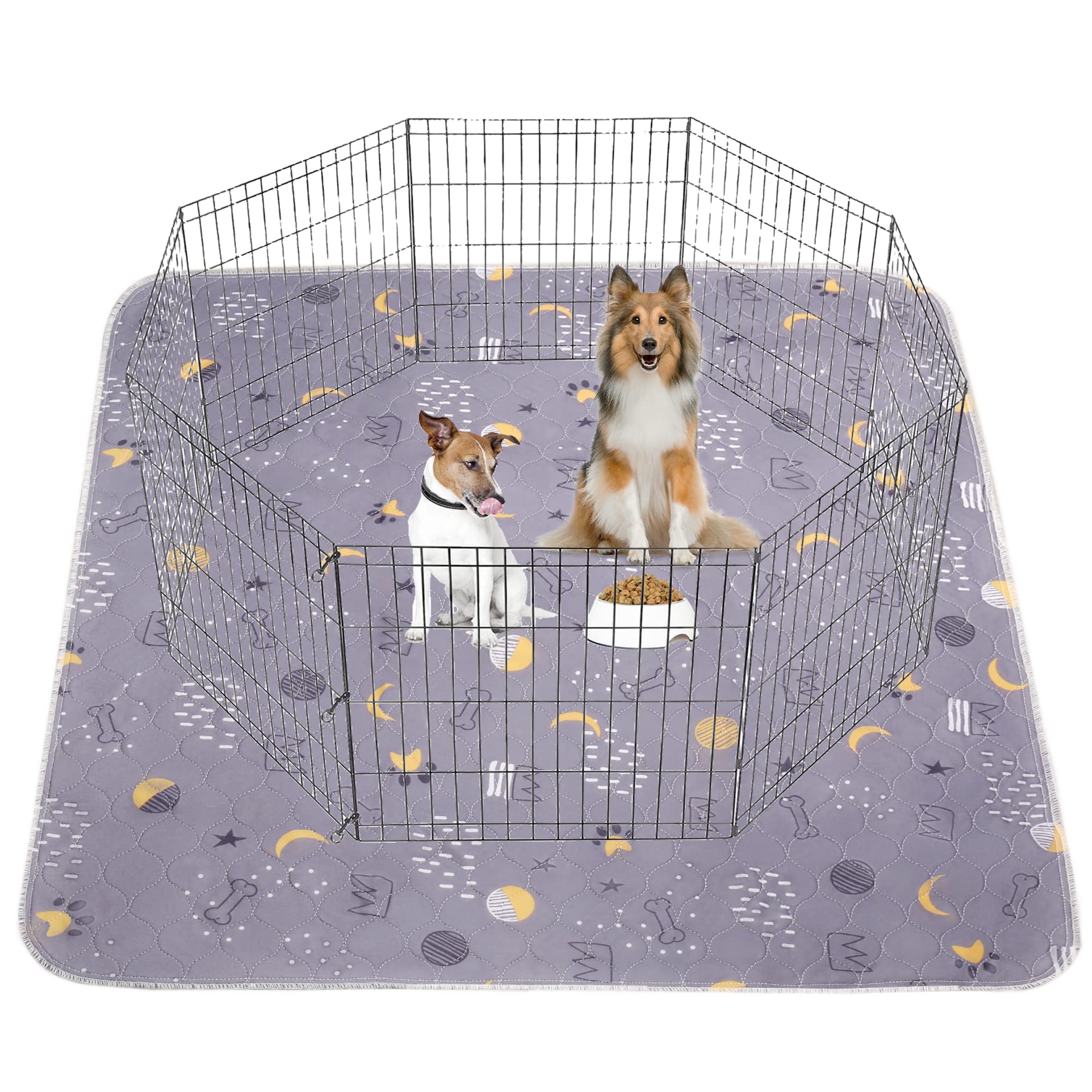 Upsky tapis-pipi chien: absorbant et reutilisable pour entrainement