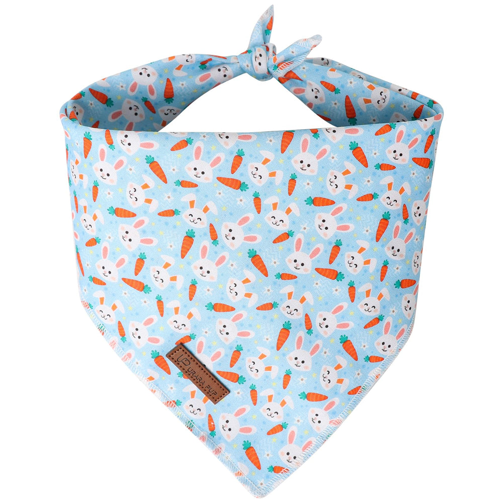 Bandana Pâques UP URARA PUP pour chiens et chats, motif festif et portable