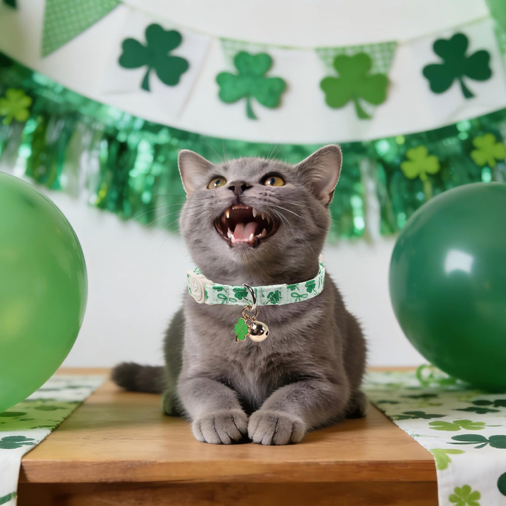 Lot de 2 colliers UP URARA PUP, pour varier les tenues festives.