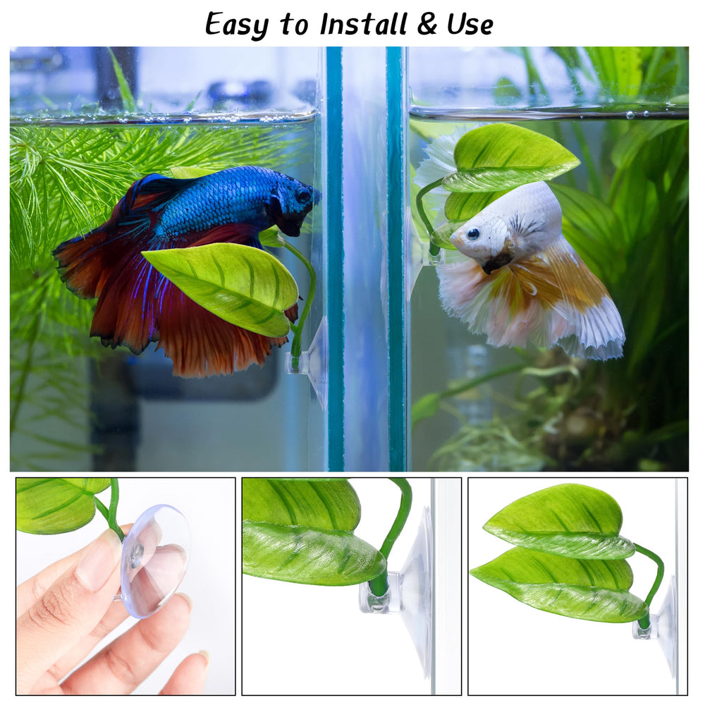 URATOT tapis-feuille-betta ventouse fixant sur la vitre