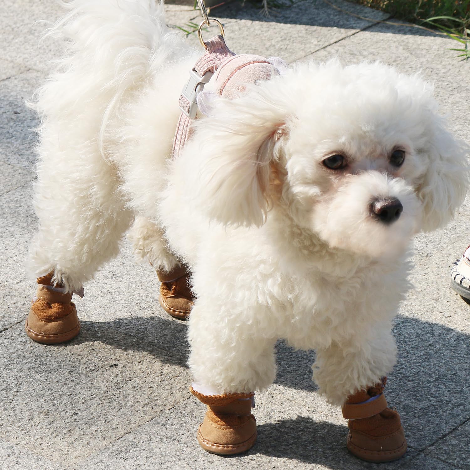 Chaussures URBEST adaptées pour balades quotidiennes et sols abrasifs.