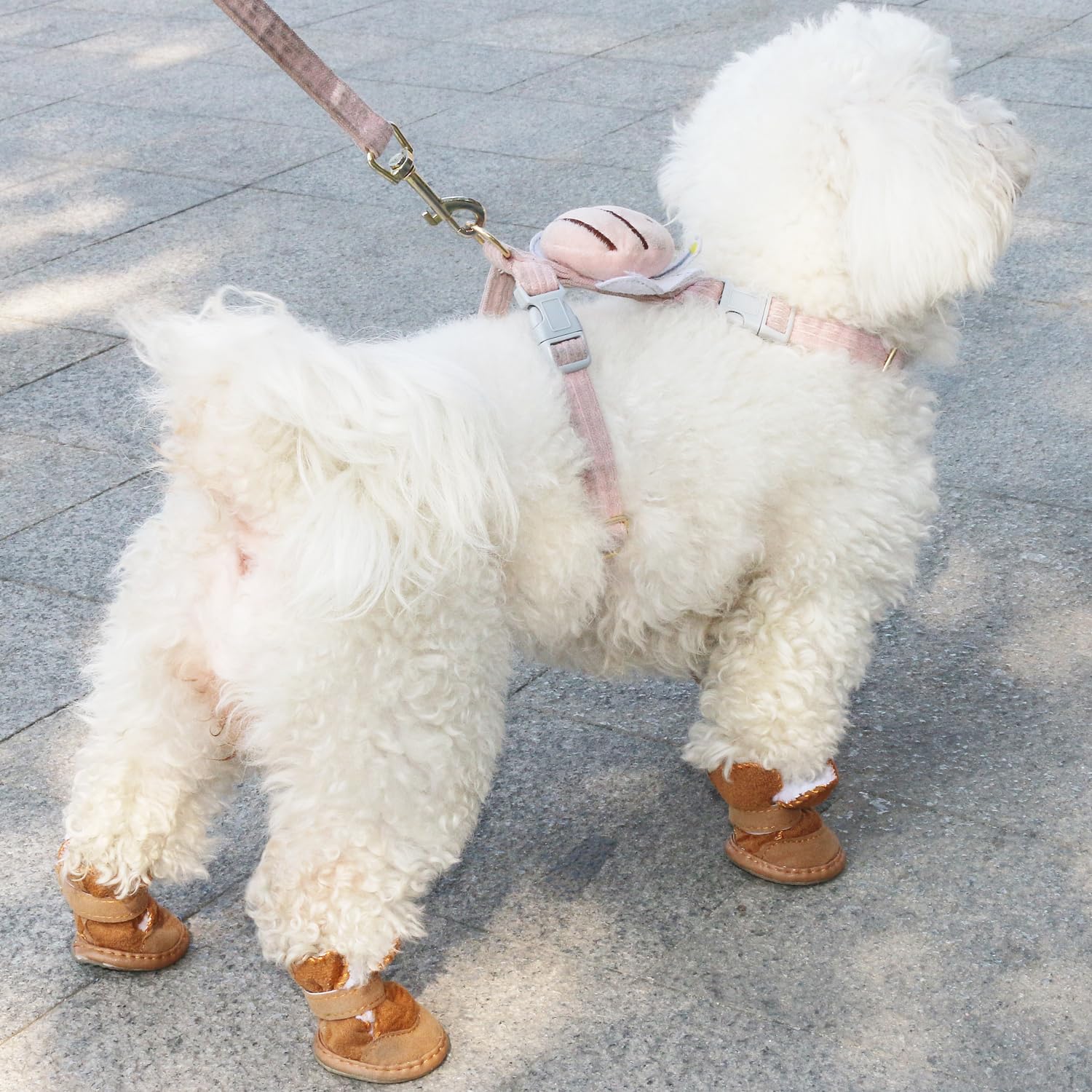 Chaussures URBEST pour chien, protection des pattes durant les balades extérieures.