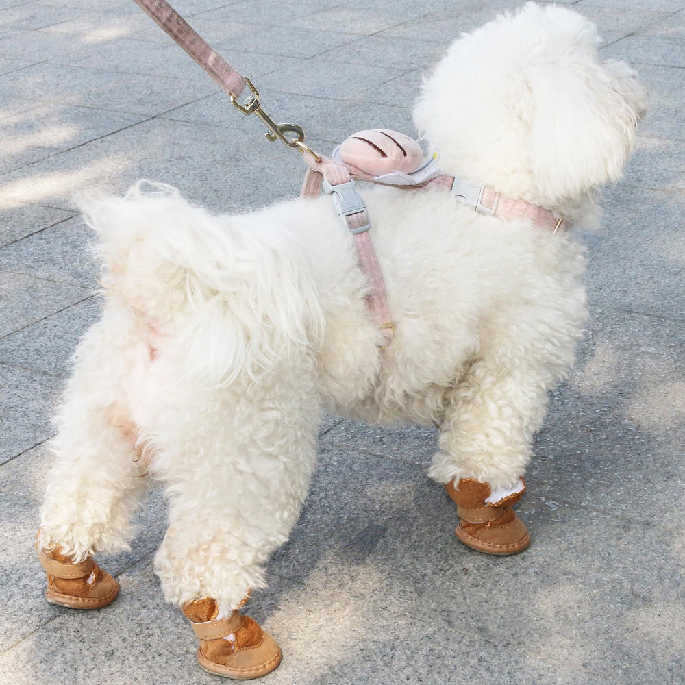 Chaussures URBEST pour chien, protection des pattes durant les balades extérieures.