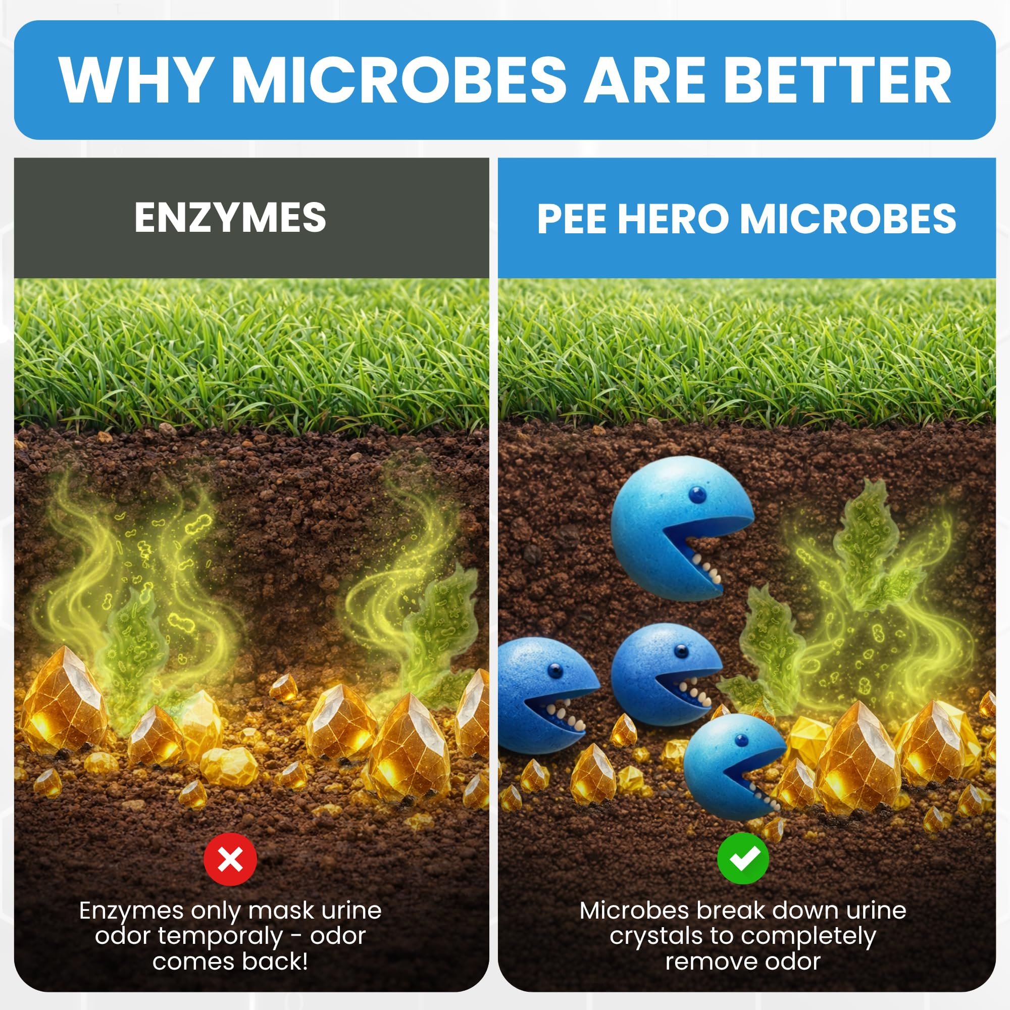 Pee Hero Urea-Z: nettoyant urines chien sur pelouse, odeurs réduites.