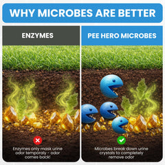 Pee Hero Urea-Z: nettoyant urines chien sur pelouse, odeurs réduites.