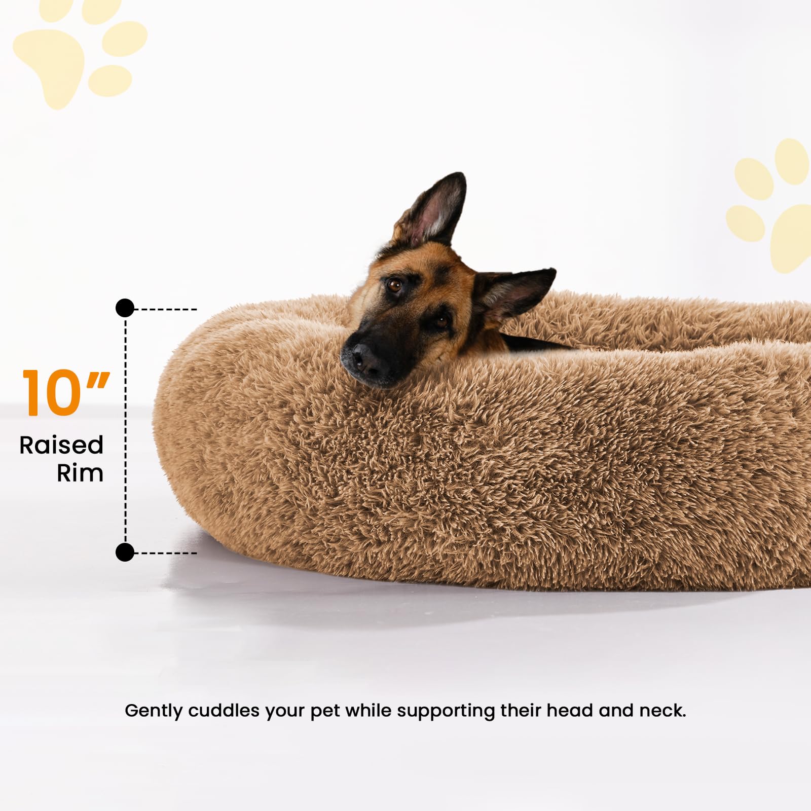 URGVANZ PET Guide tailles – dimensions adaptées pour chiens et chats