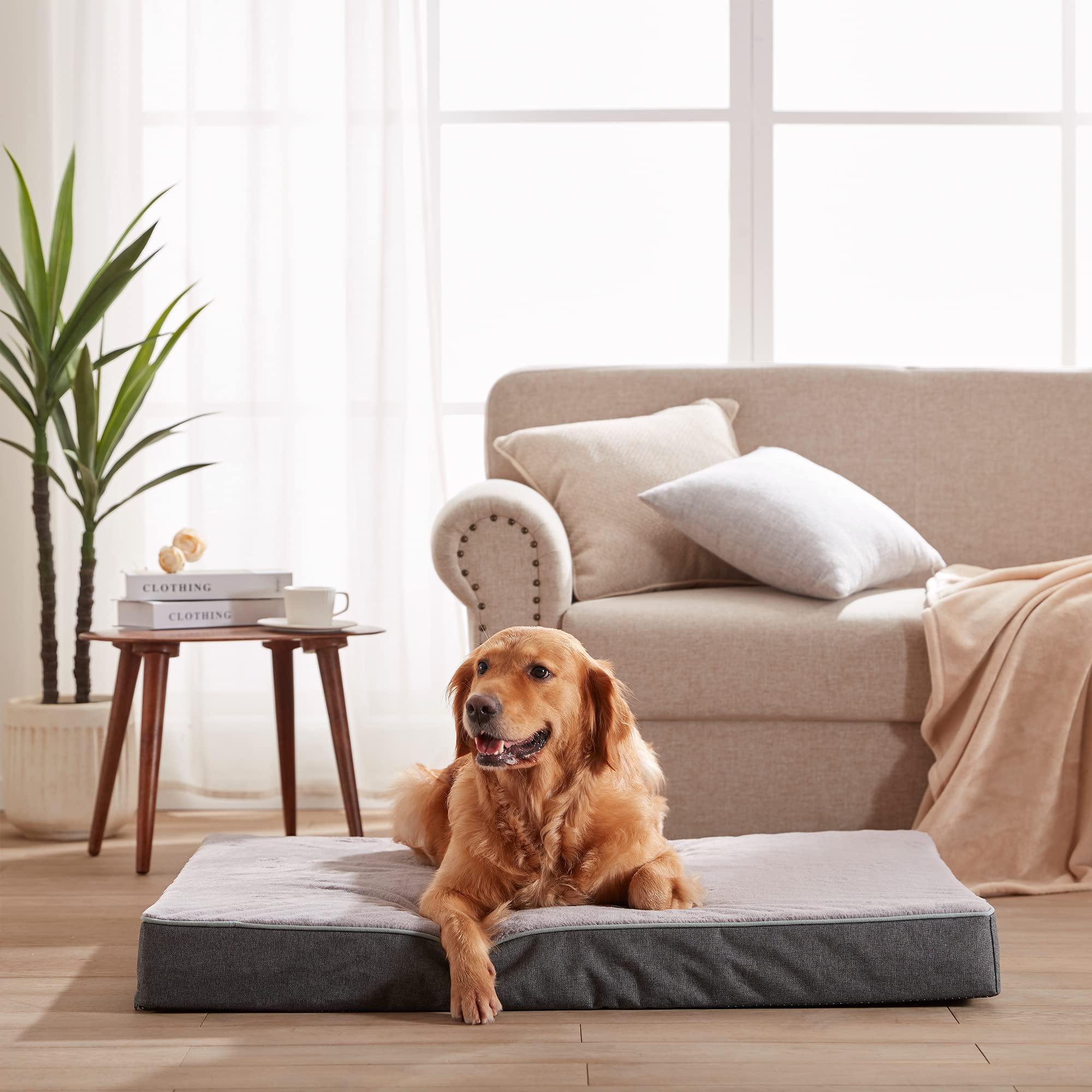 Housse lavable et zip du lit URGVANZ PET pour entretien facile.