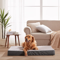 Housse lavable et zip du lit URGVANZ PET pour entretien facile.