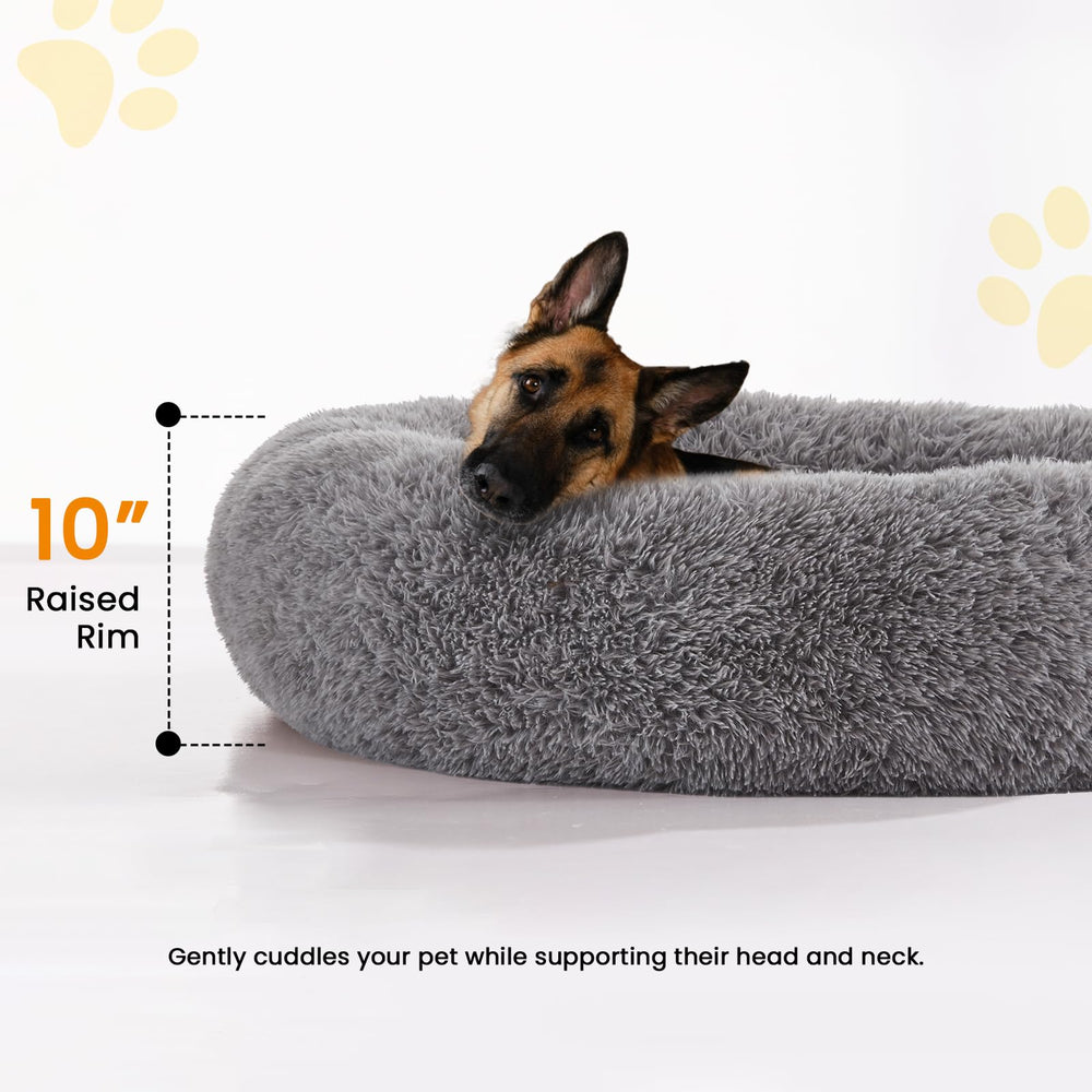 Tailles multiples URGVANZ PET pour petits et grands chiens