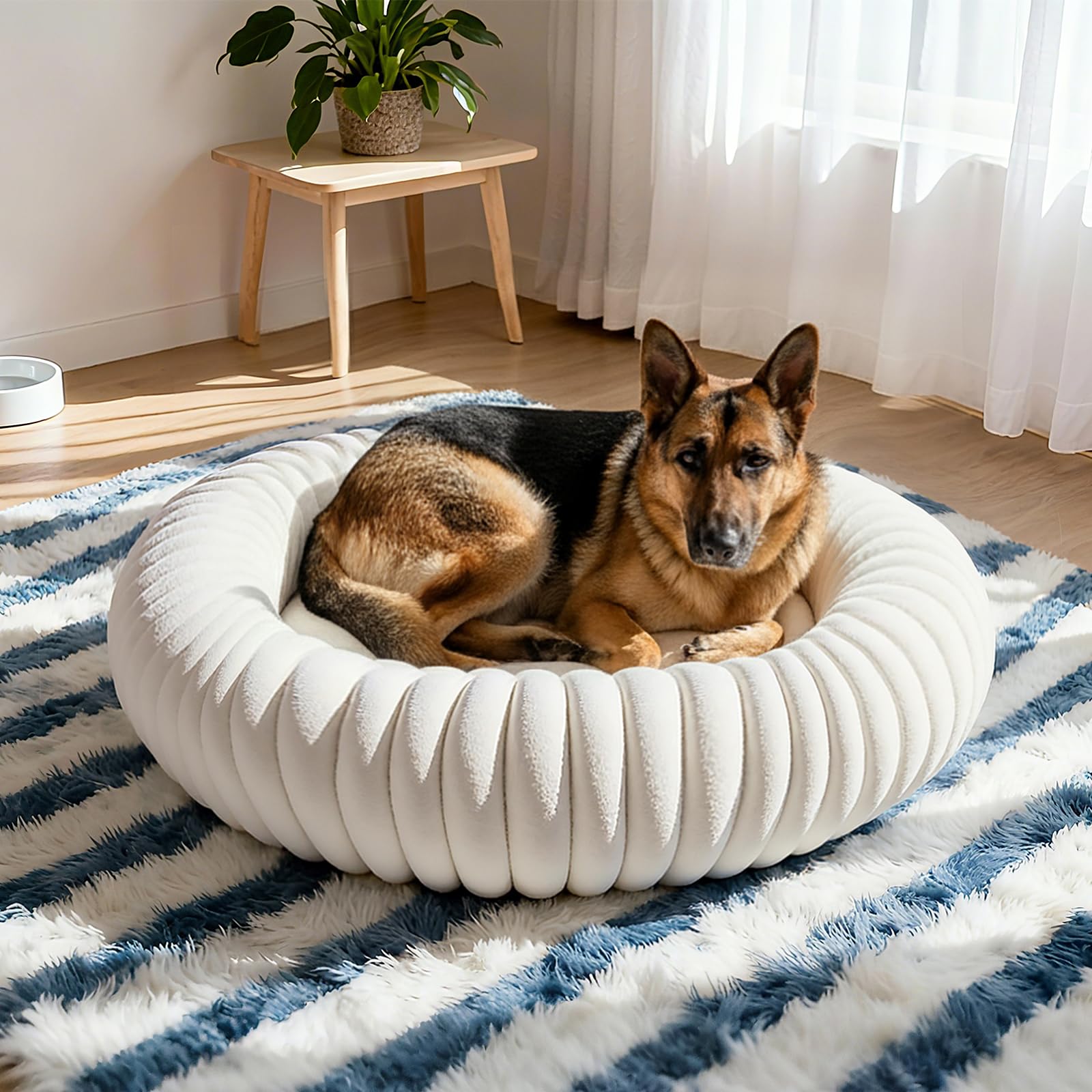URGVANZ PET usage intérieur, idéal sur canapé ou sol