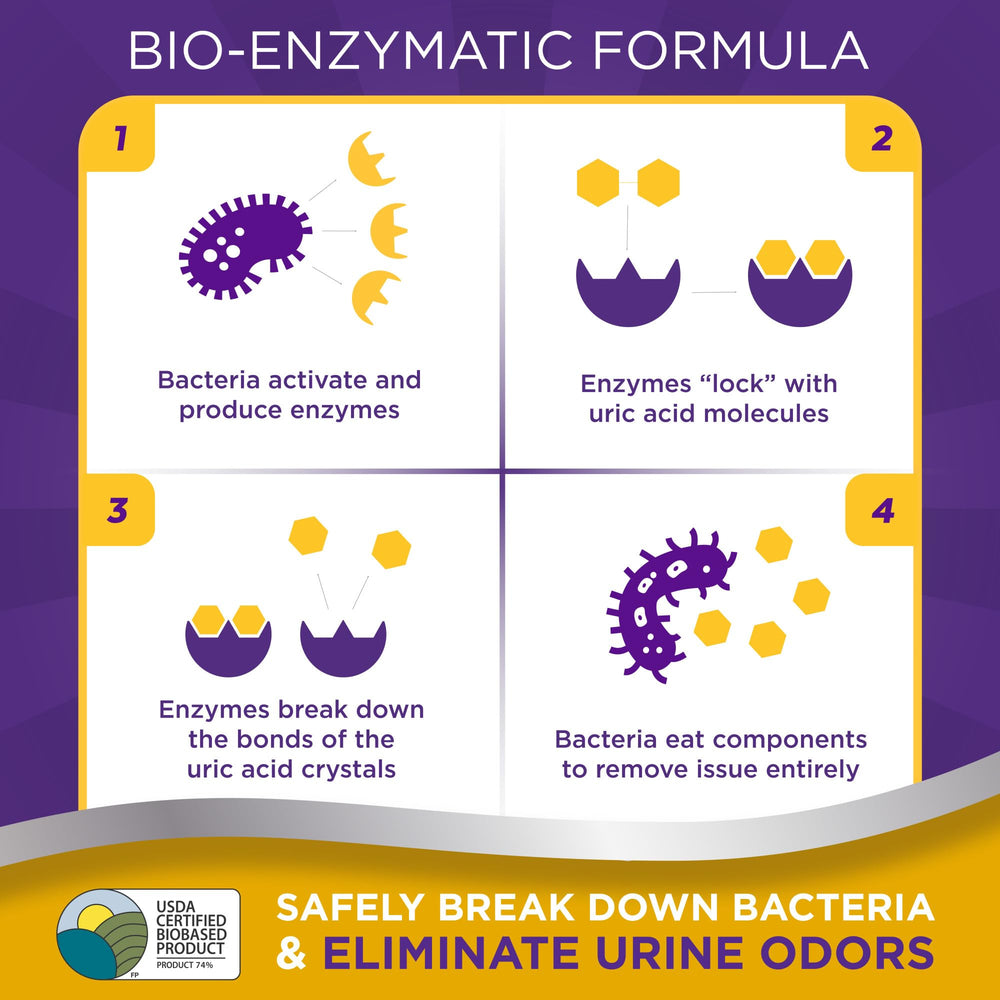 UrineOFF enzymatique naturel—neutralise les composants d’urine.