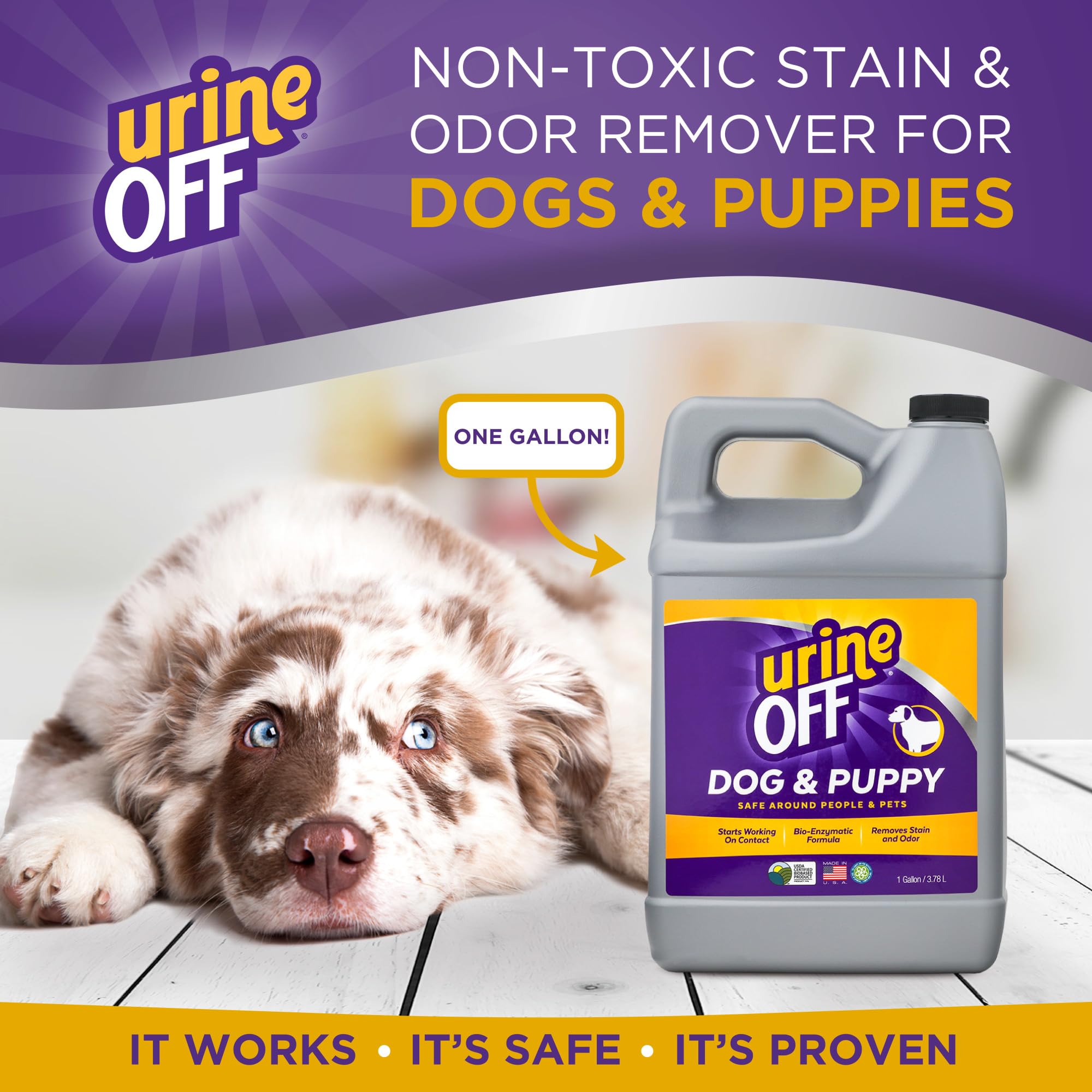 UrineOFF nettoyant multi-surfaces—idéal pour tapis, bois et carrelage.