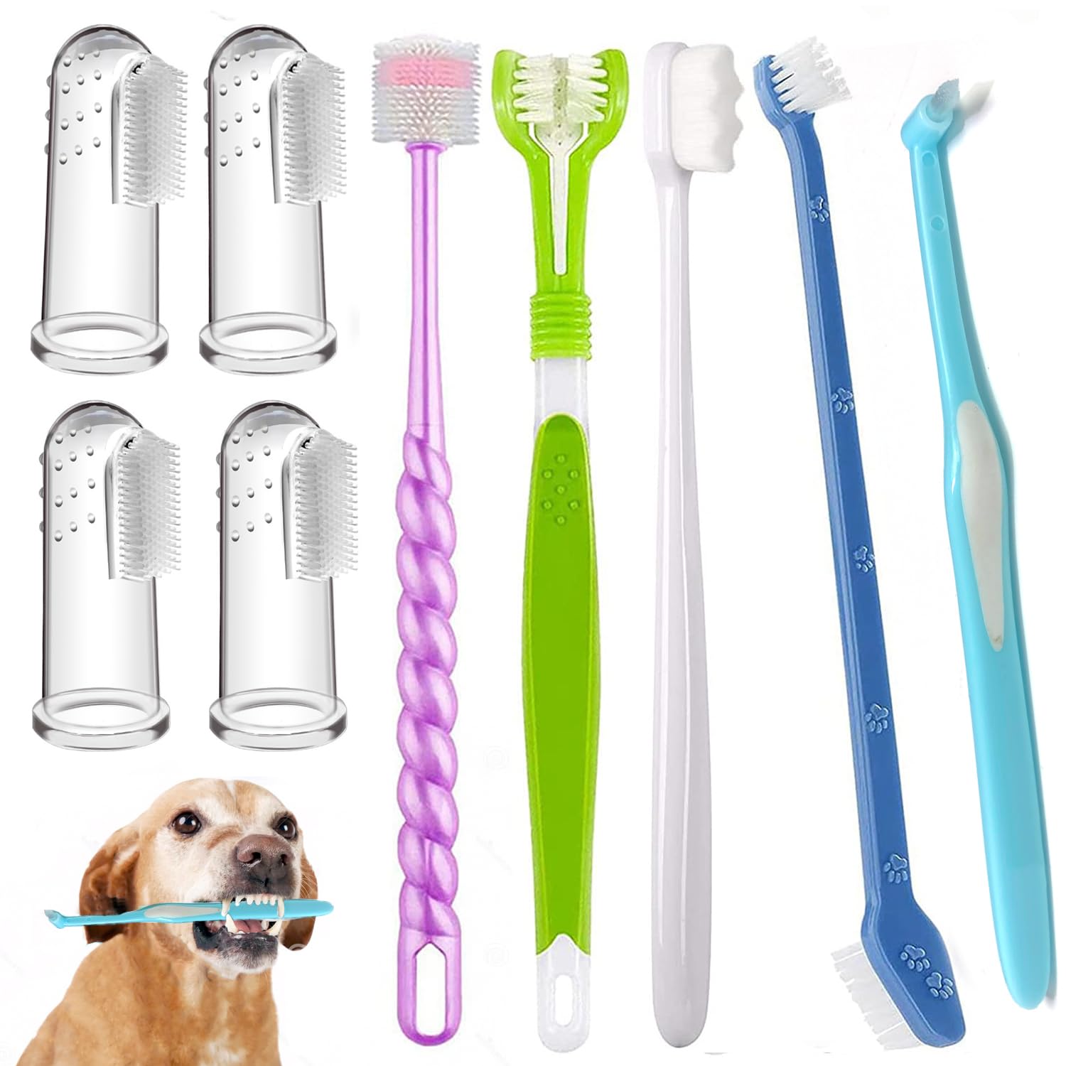 URMYONLY brosse dentaire 360 pour chiens et chats, nettoyage global potentiel
