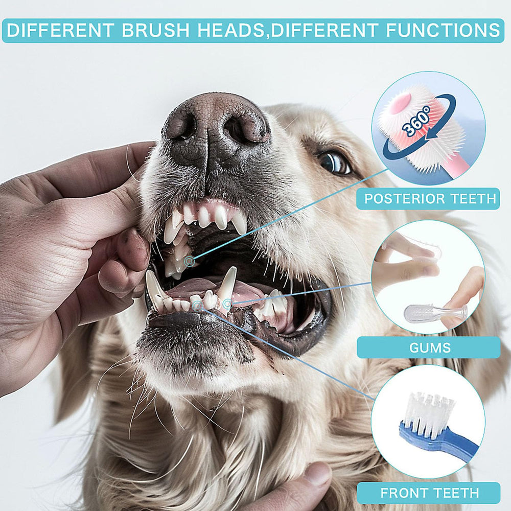 URMYONLY brosse dentaire à double tête pour zones difficiles