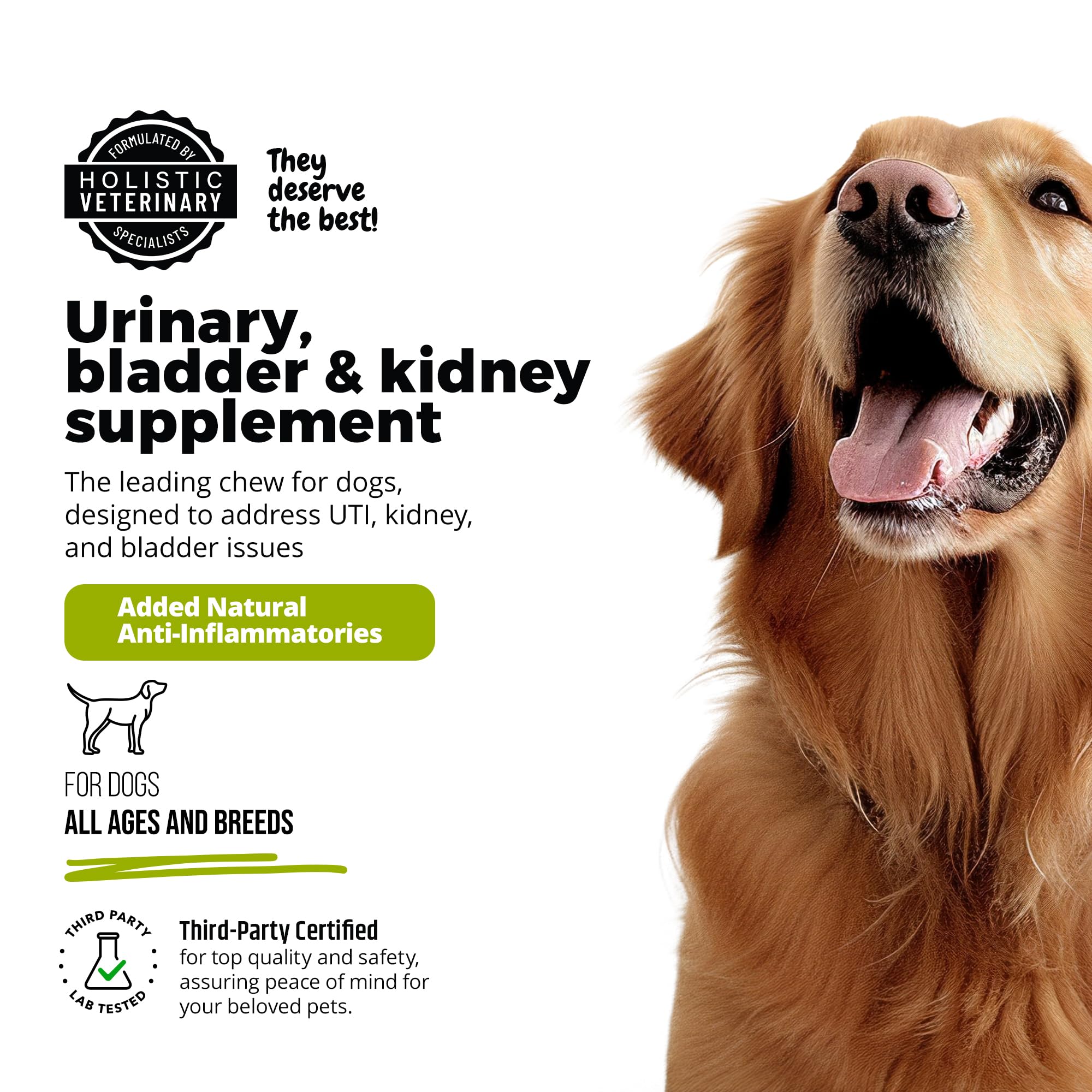 UroMAXX — 90 bouchées, format pratique pour le quotidien.