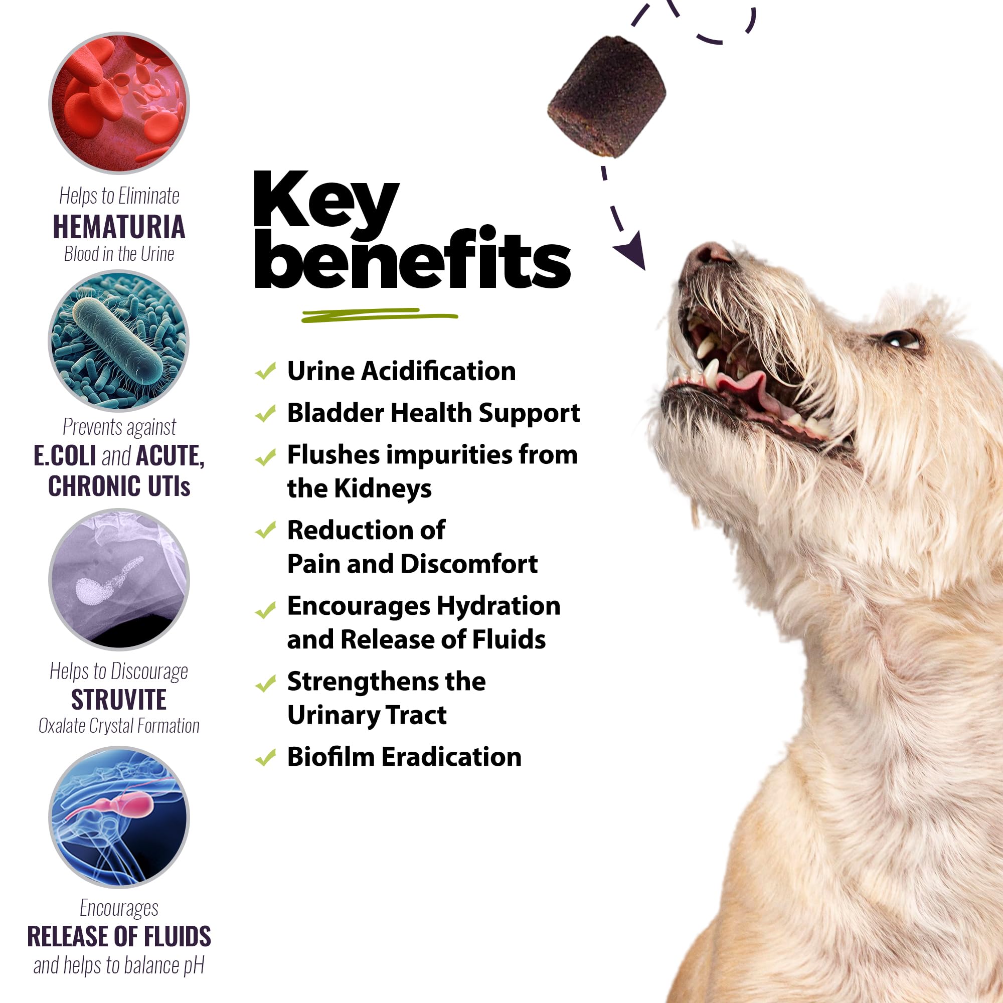 Gommes pour chiens, saveur appétente et administration facilitée.