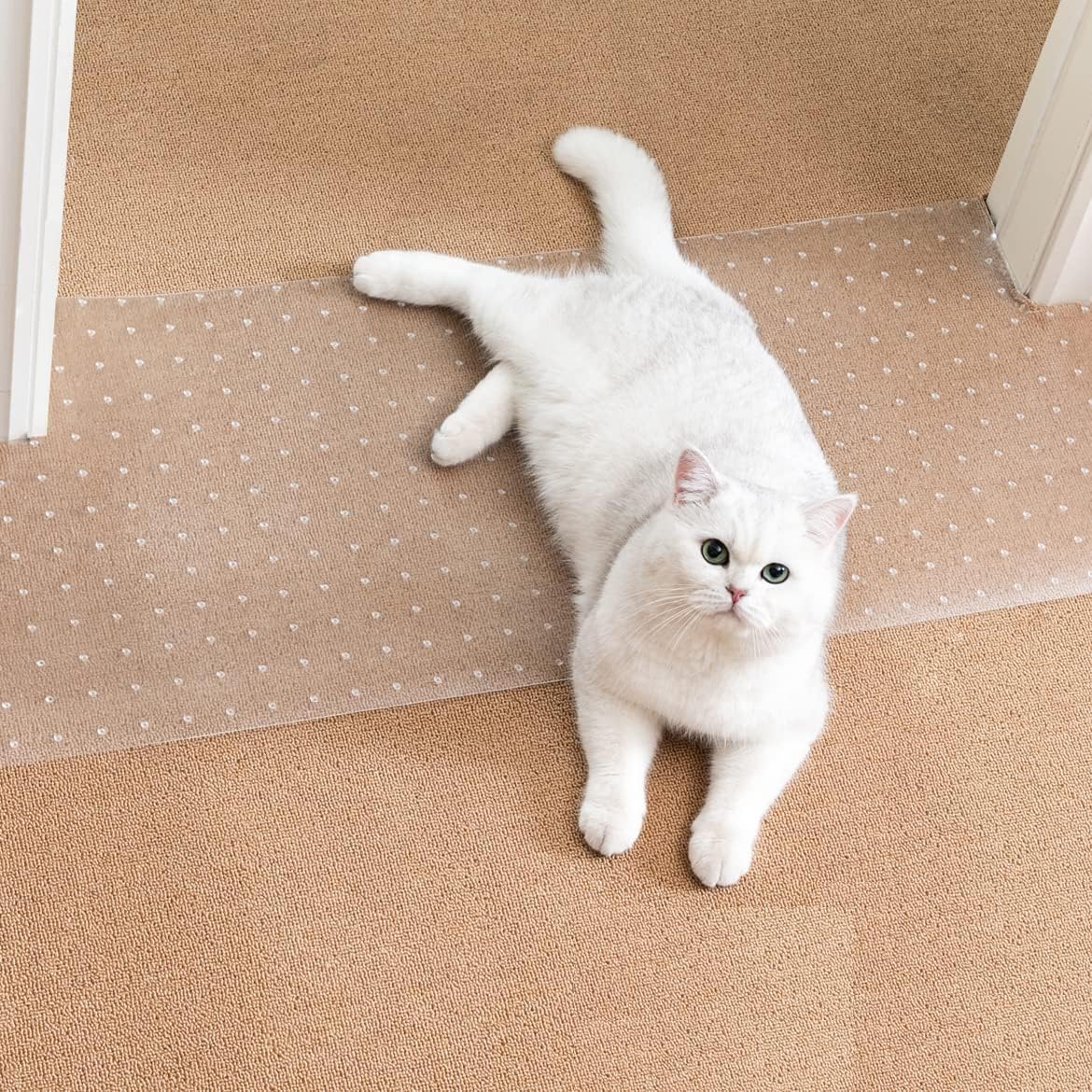Uross protecteur de tapis anti-rayures sous la porte, protège le tapis.