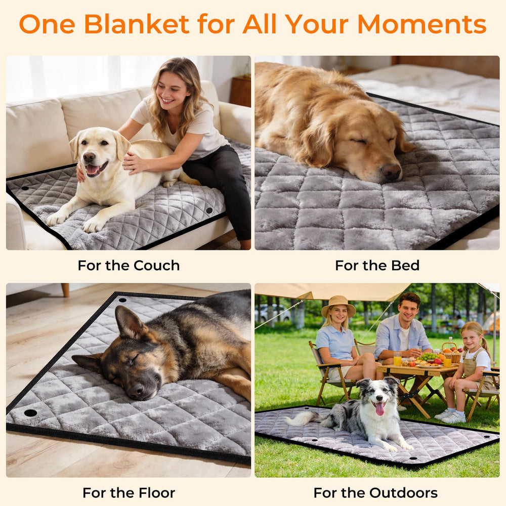 URPOWER fenetre mesh visible pour que votre chien vous voie et respire mieux